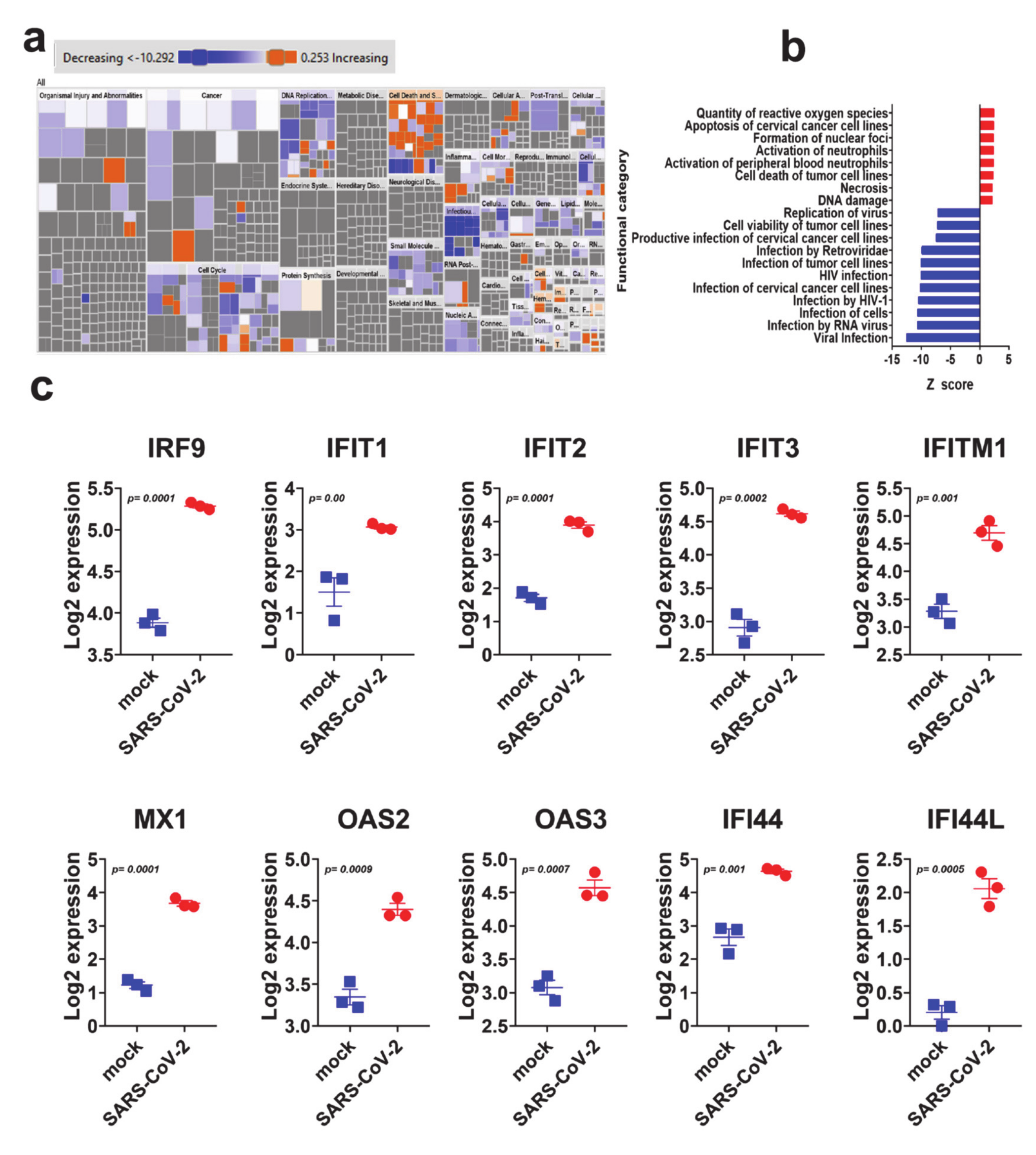 Genes 11 00760 g003 Genes 11 00760 g003