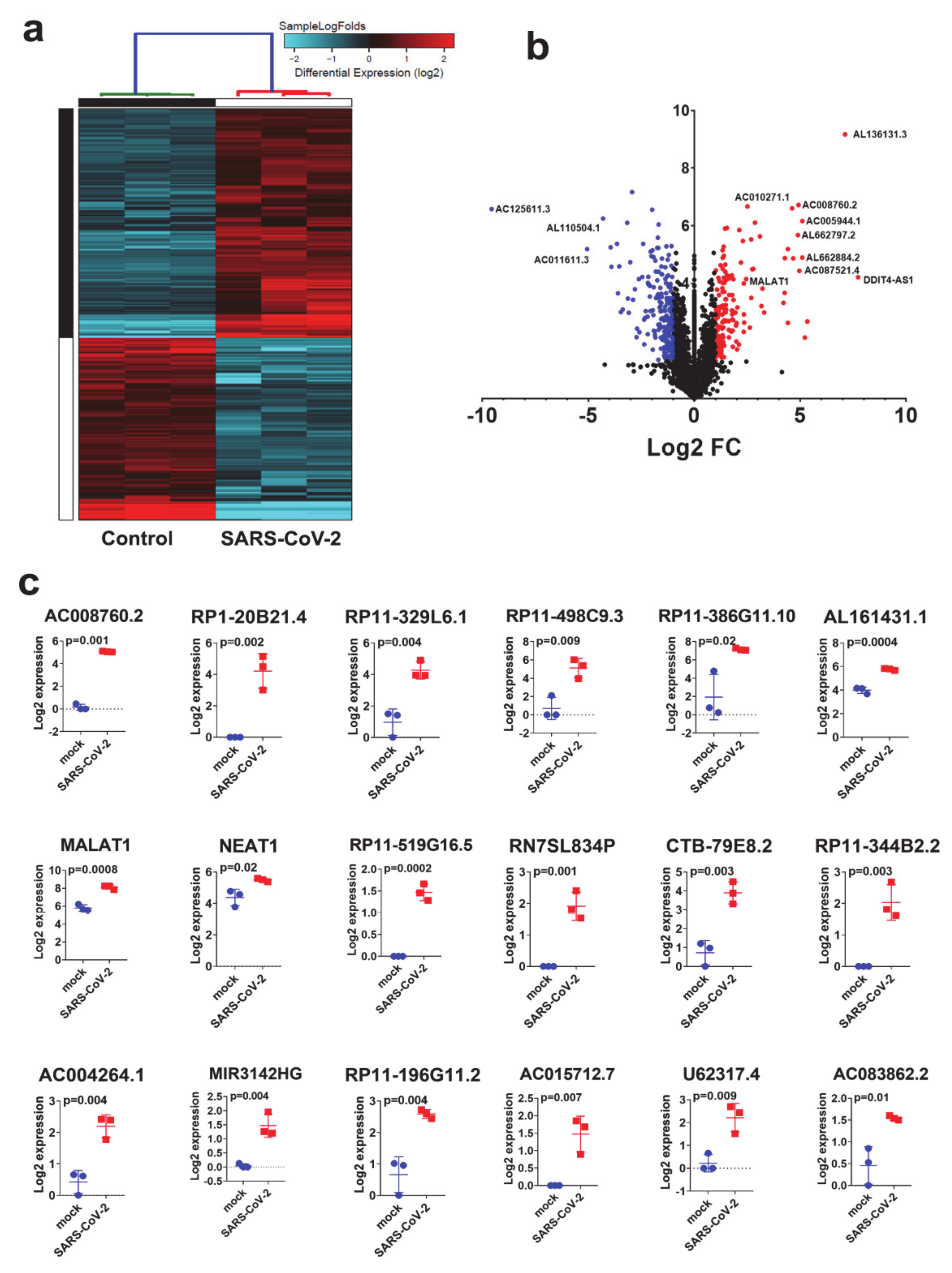 Genes 11 00760 g004 Genes 11 00760 g004