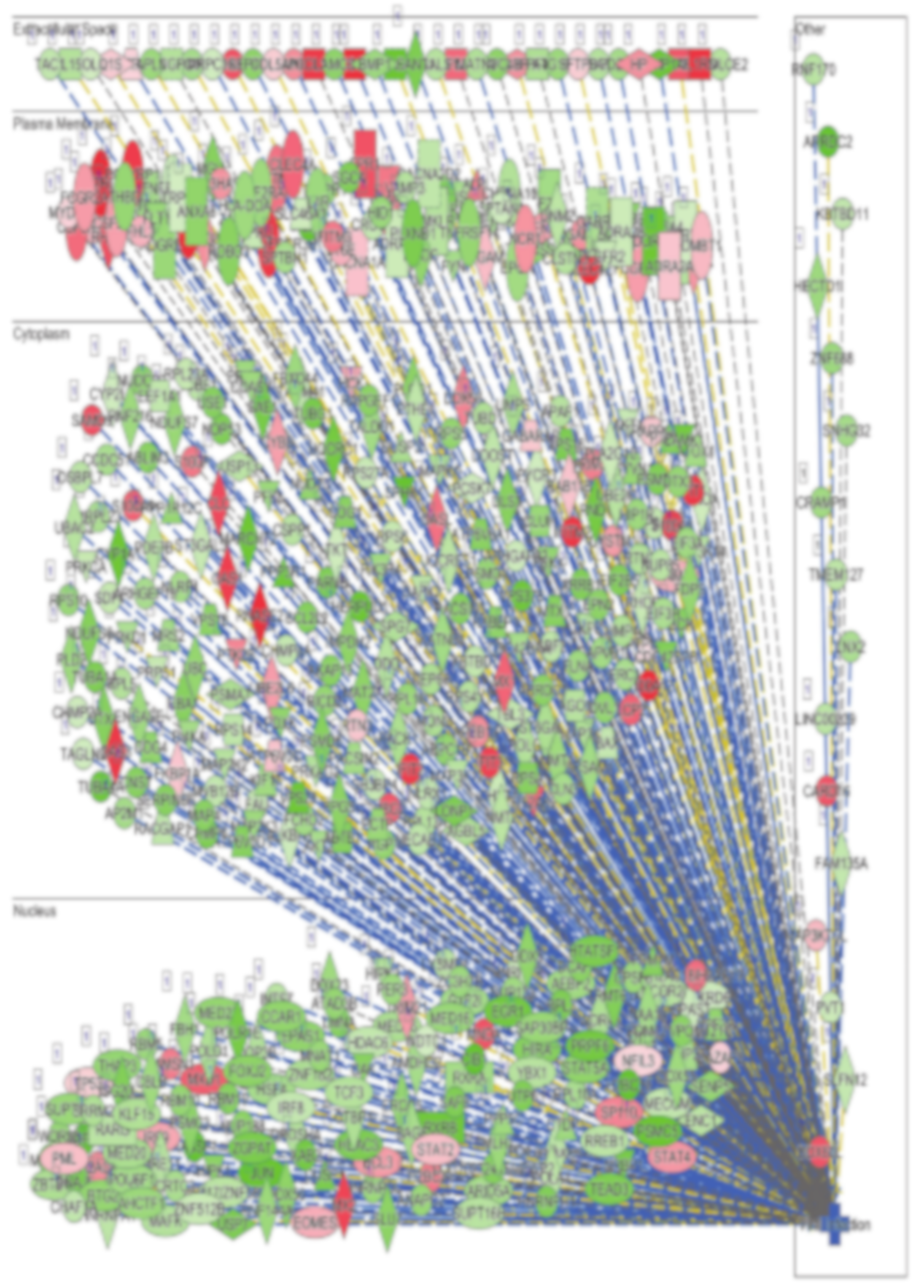 Genes 11 00760 g008 Genes 11 00760 g008