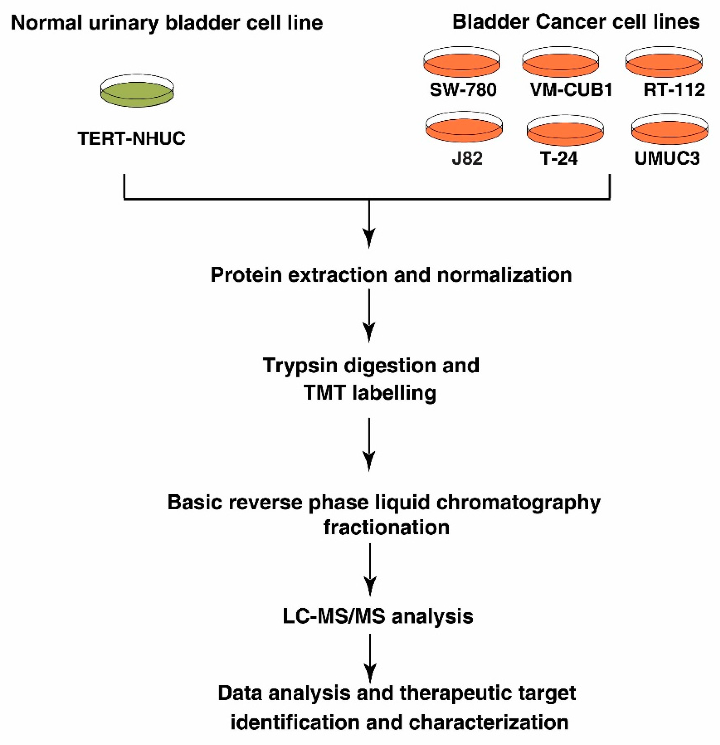 Genes 11 00763 g001 Genes 11 00763 g001