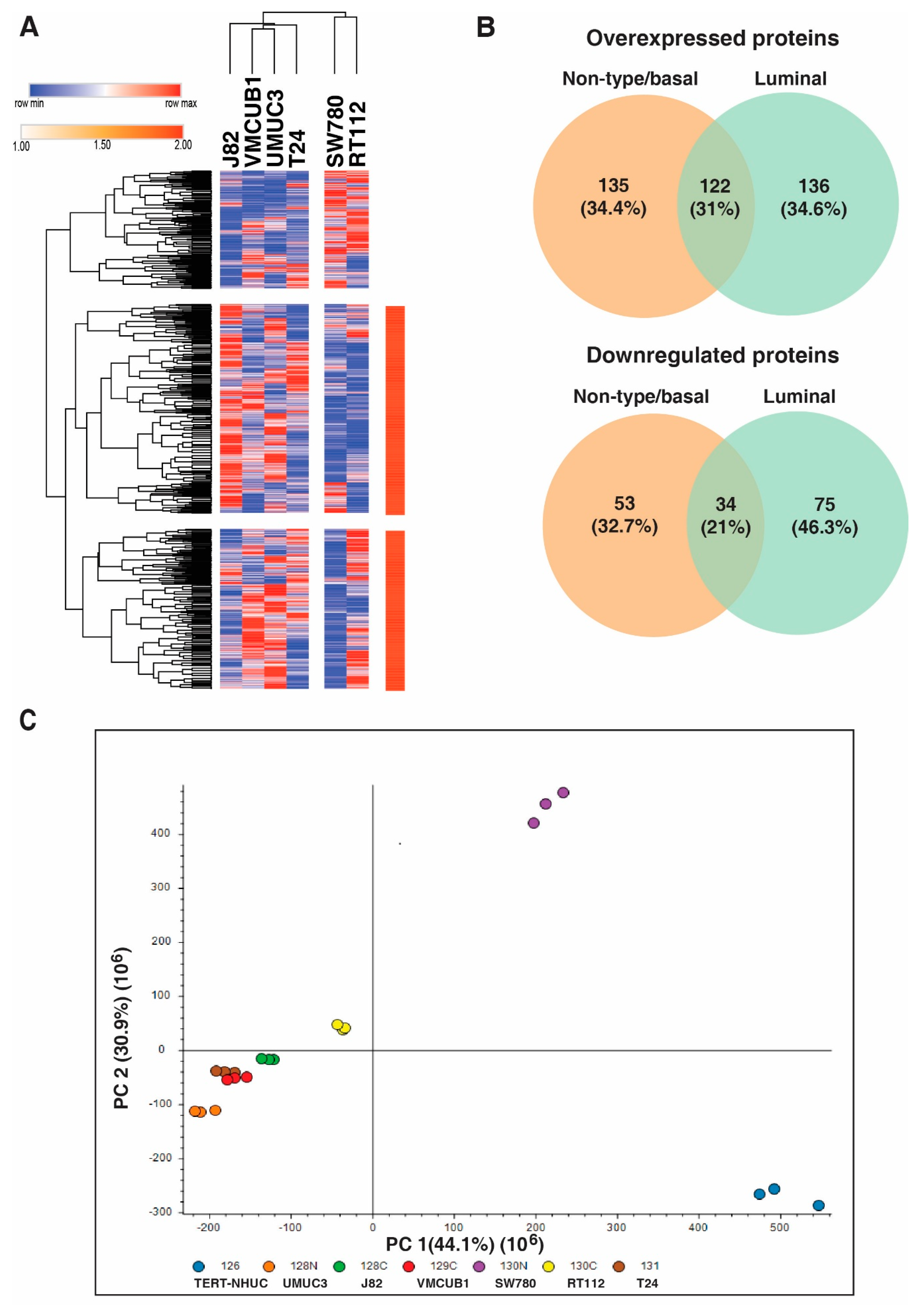 Genes 11 00763 g002 Genes 11 00763 g002