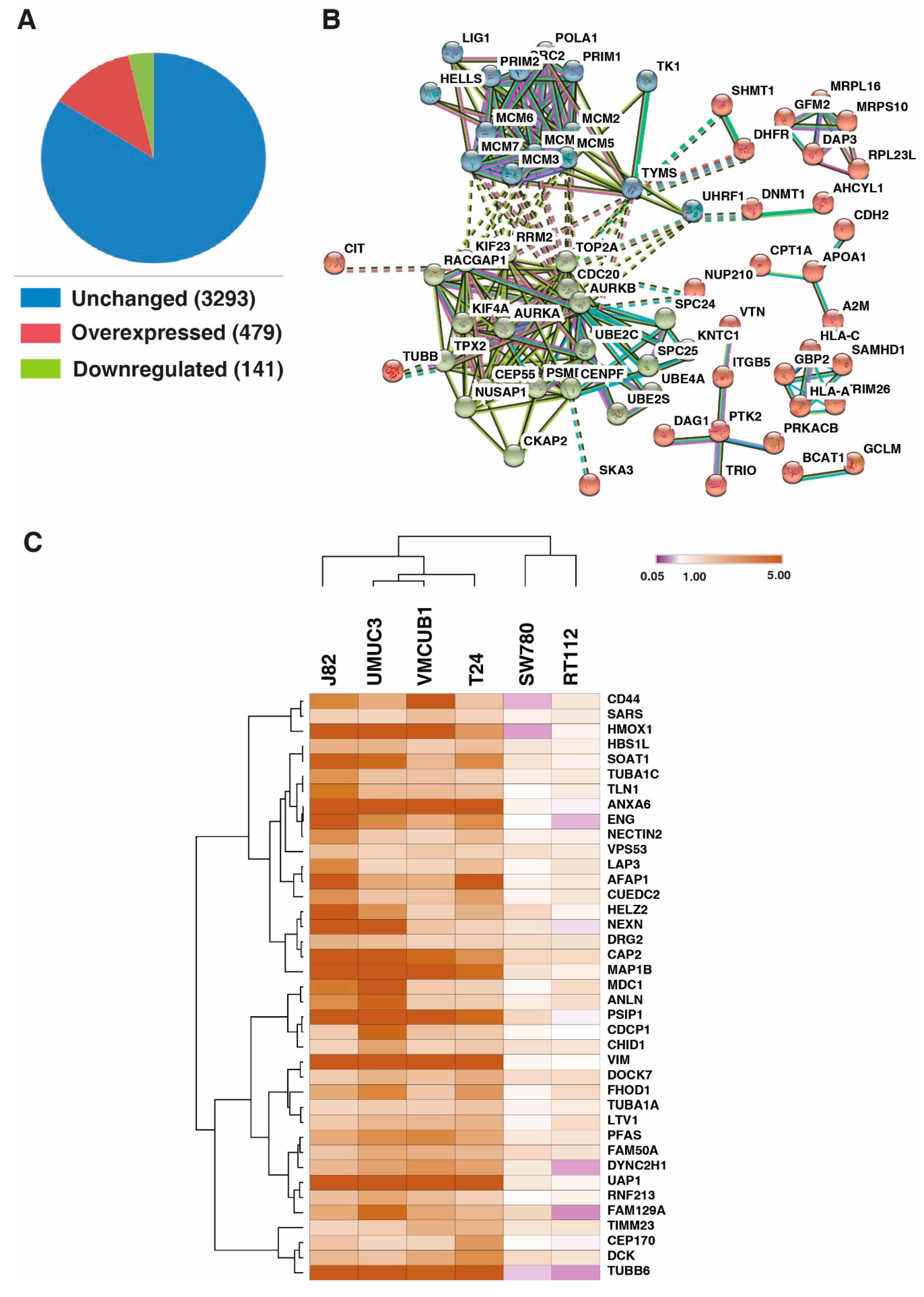 Genes 11 00763 g003 Genes 11 00763 g003