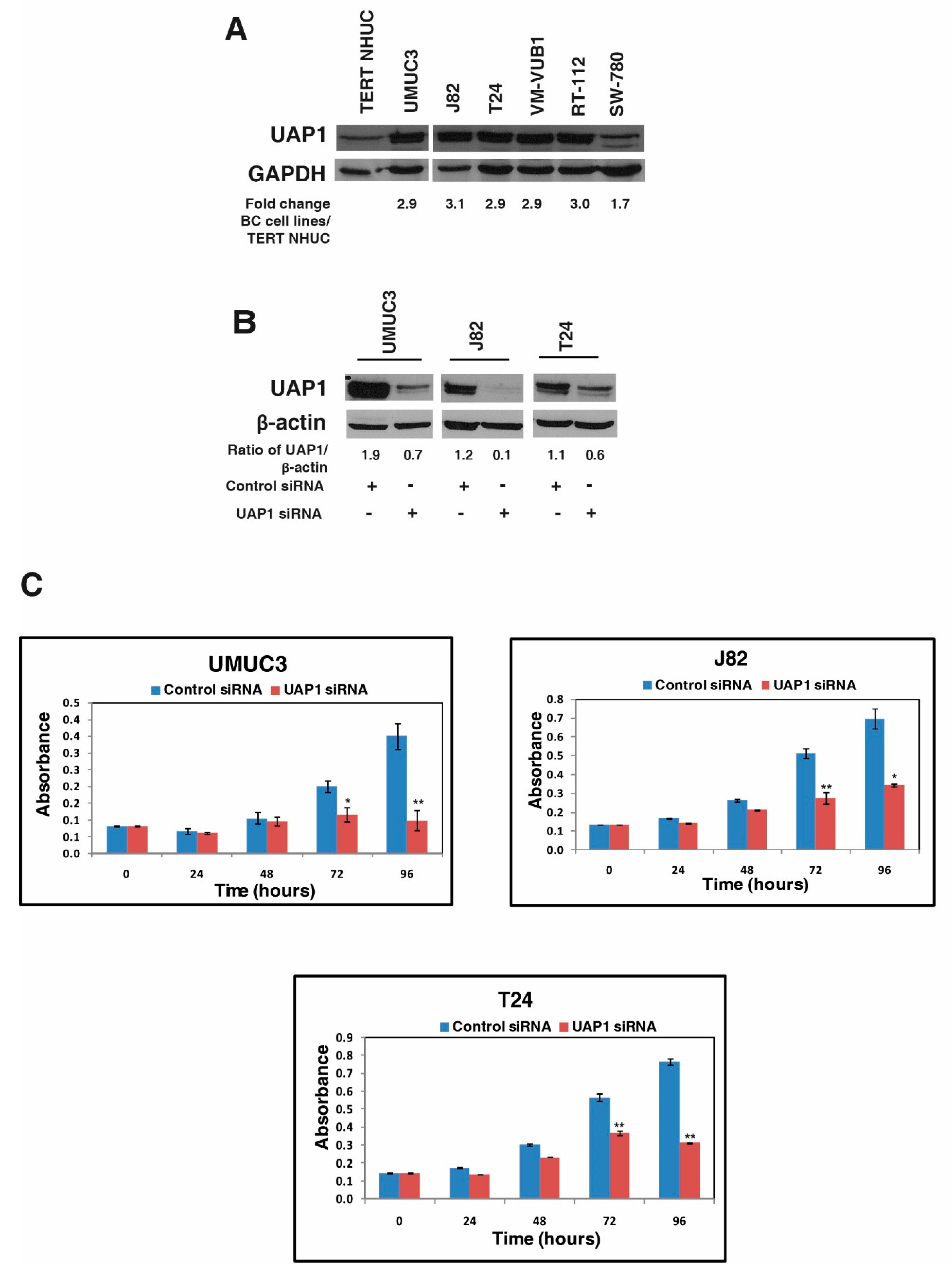Genes 11 00763 g004 Genes 11 00763 g004