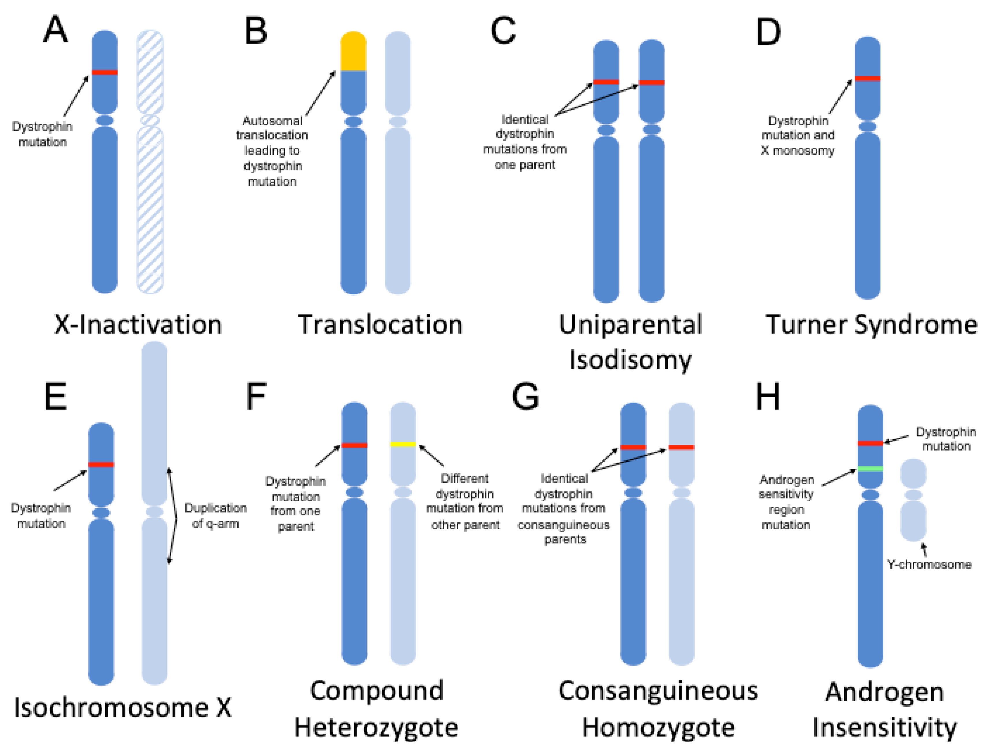 Genes 11 00765 g001 Genes 11 00765 g001