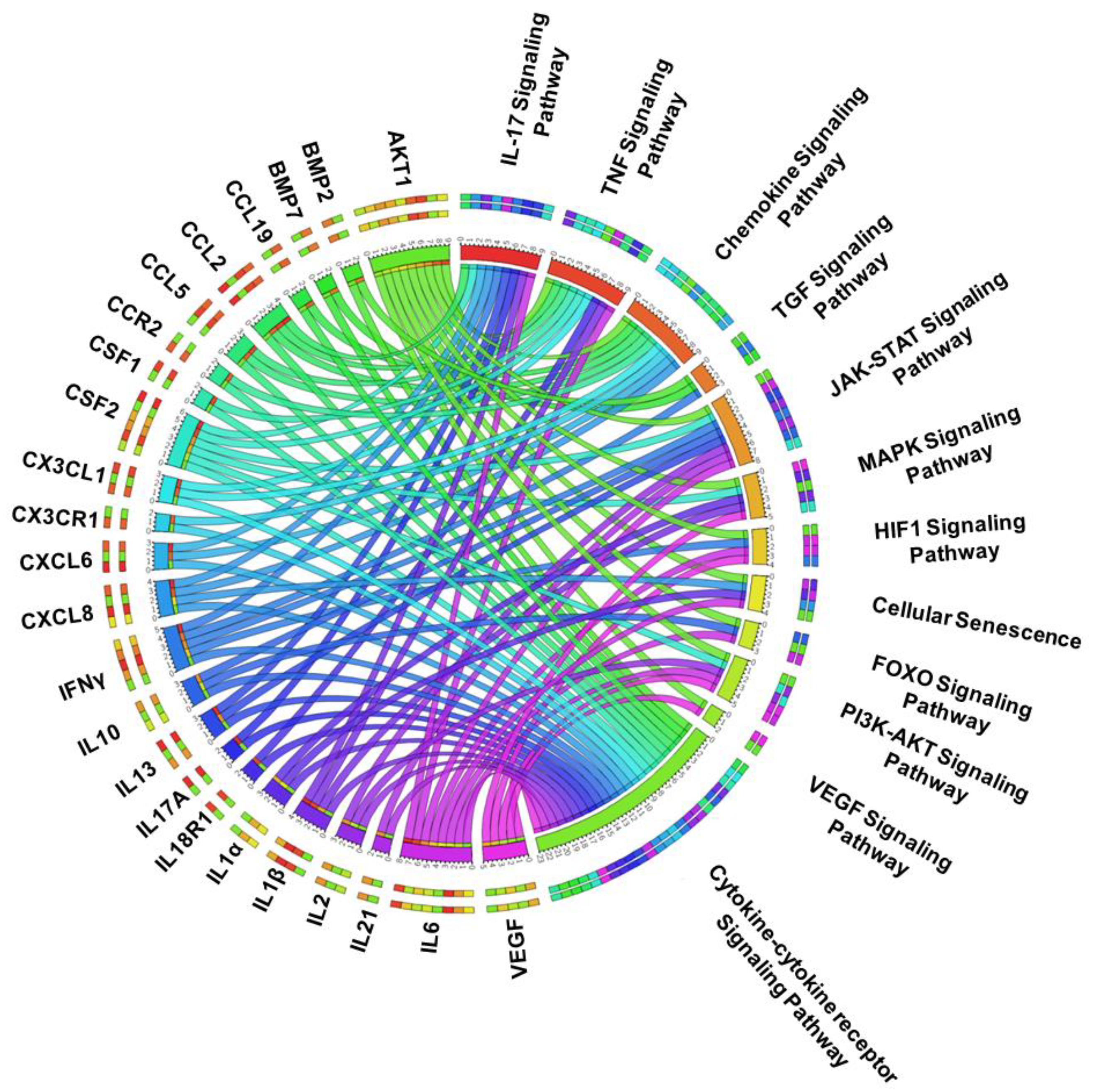 Genes 11 00771 g002 Genes 11 00771 g002