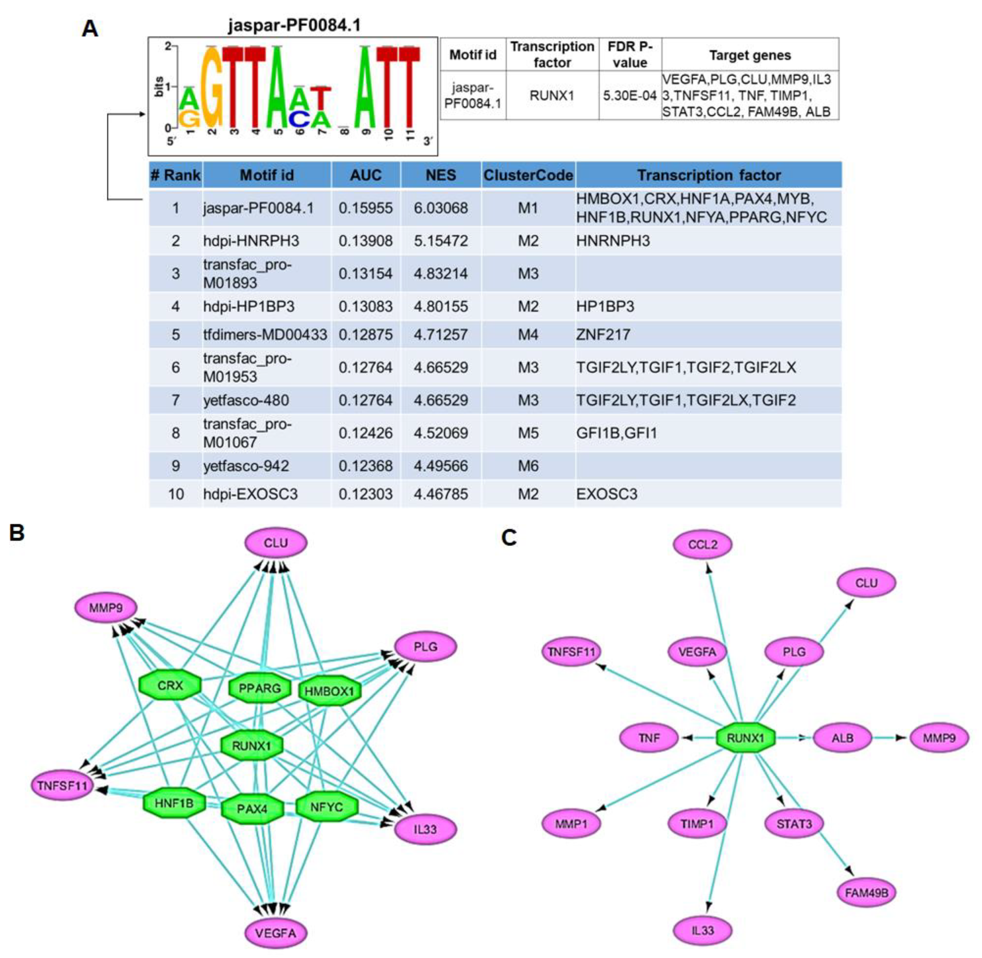 Genes 11 00771 g004 Genes 11 00771 g004