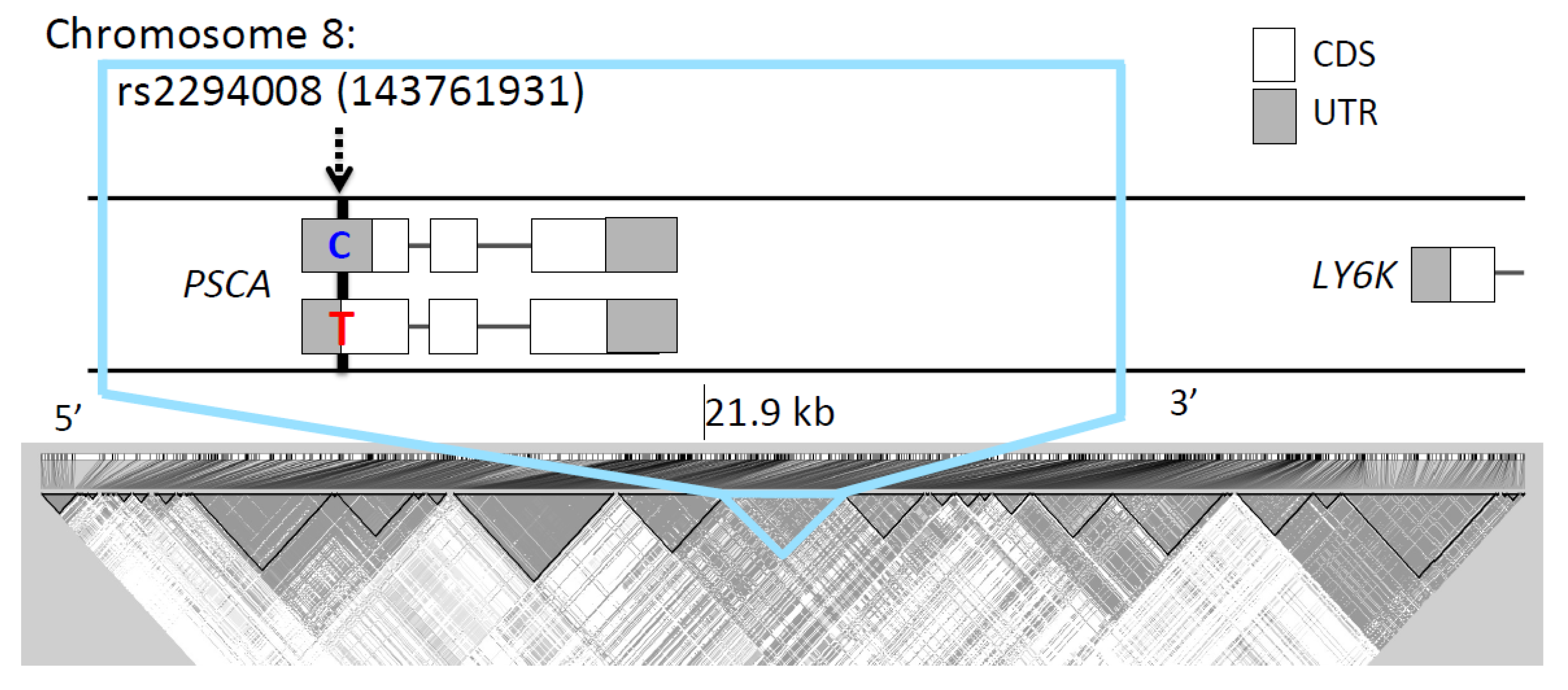 Genes 11 00775 g003 Genes 11 00775 g003