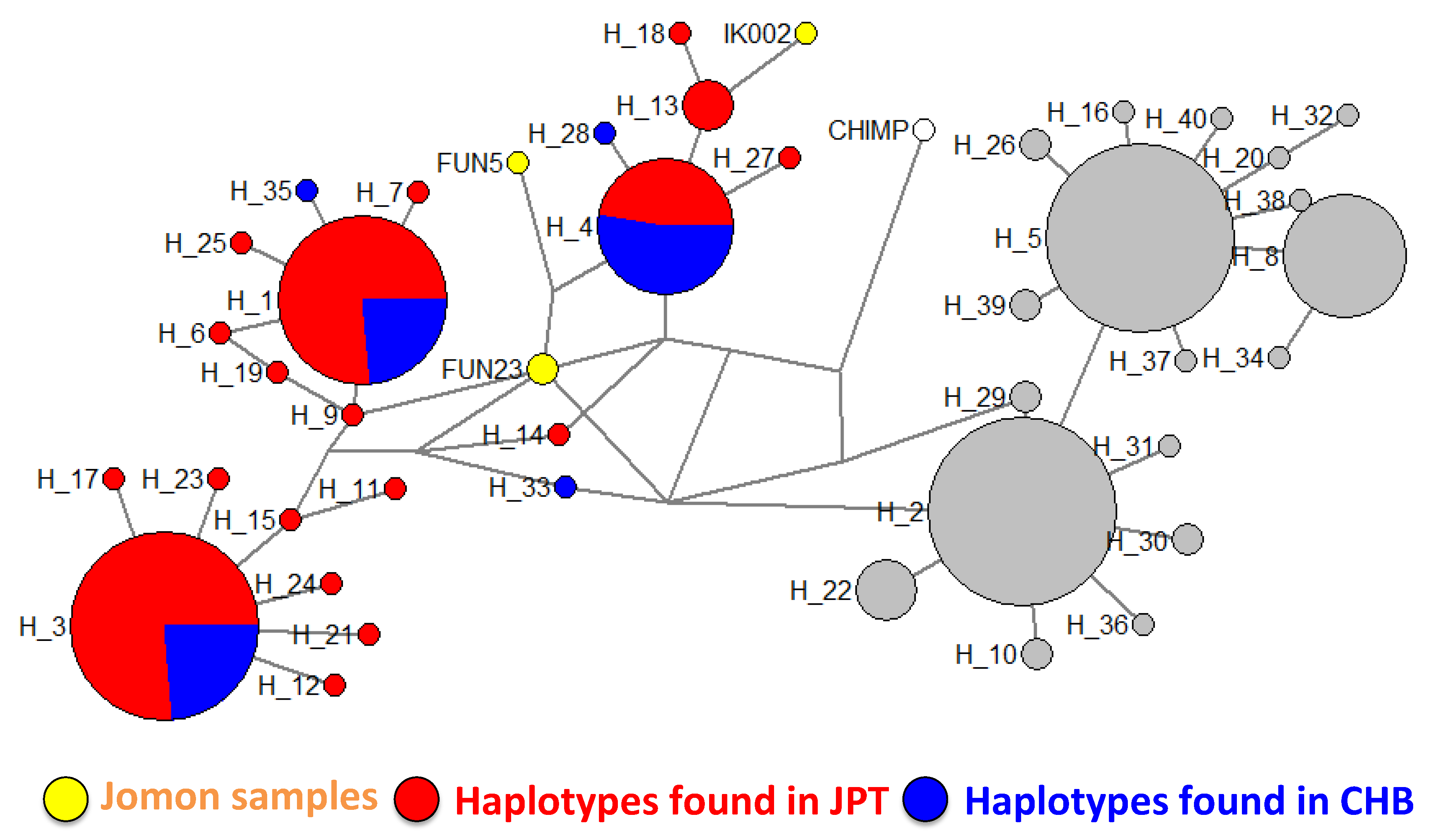 Genes 11 00775 g006 Genes 11 00775 g006