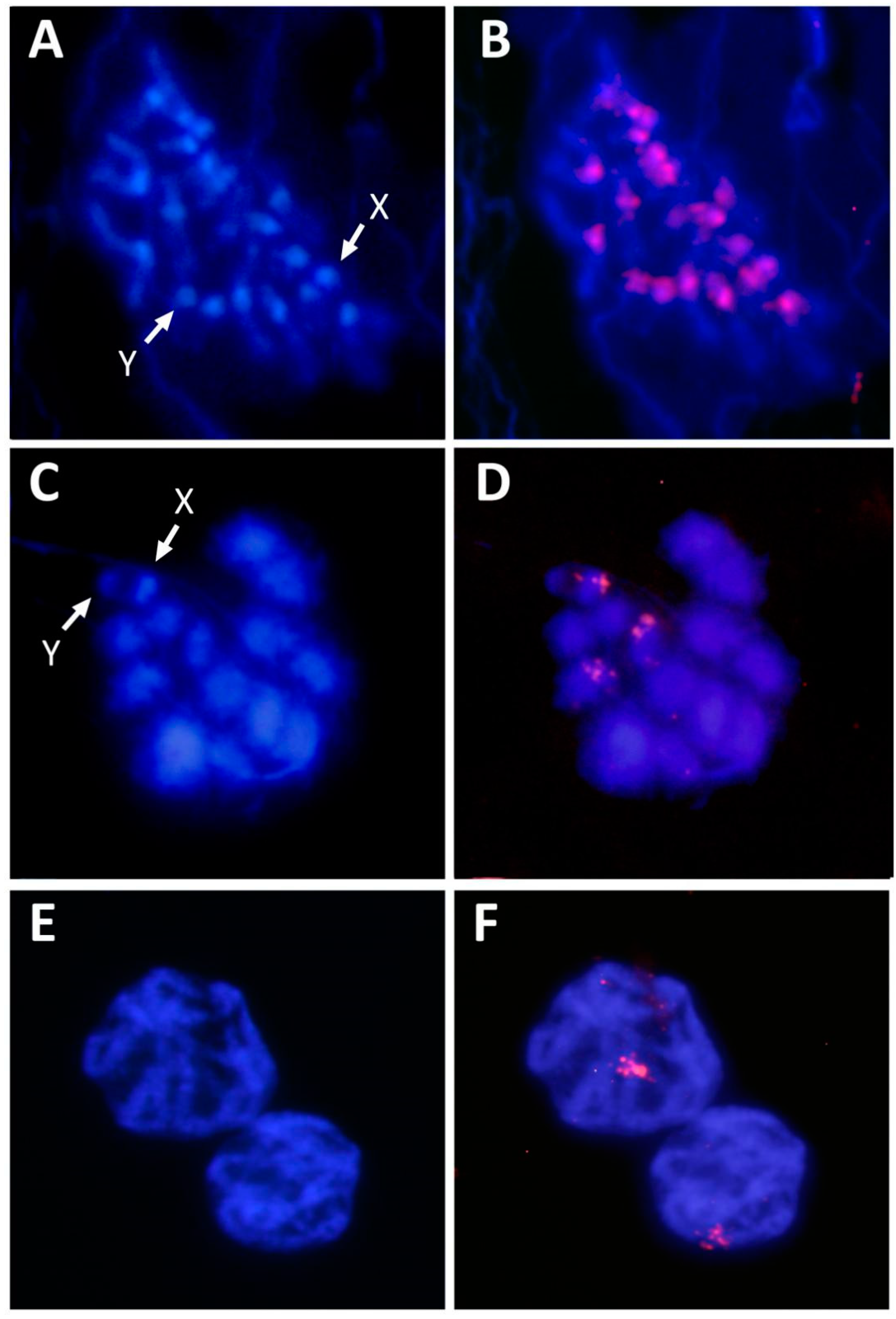 Genes 11 00783 g005 Genes 11 00783 g005