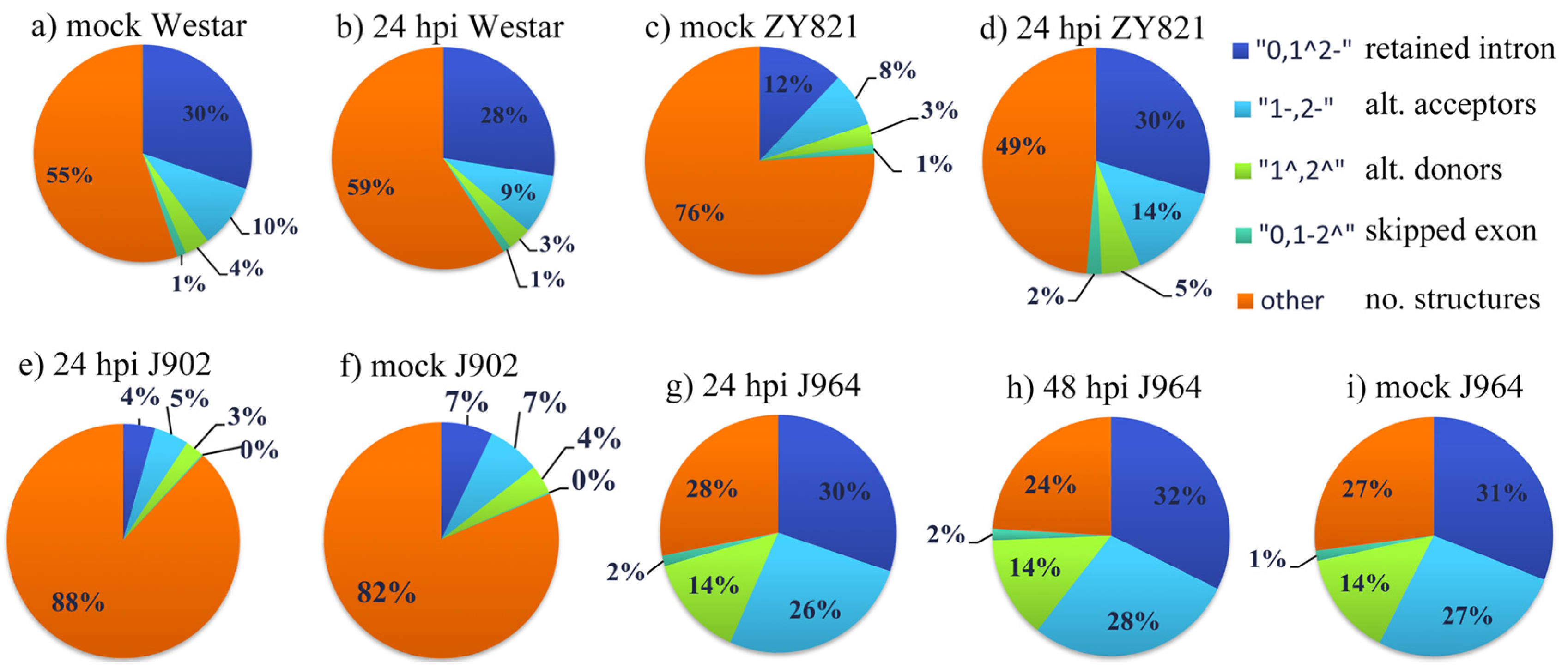 Genes 11 00784 g001 Genes 11 00784 g001