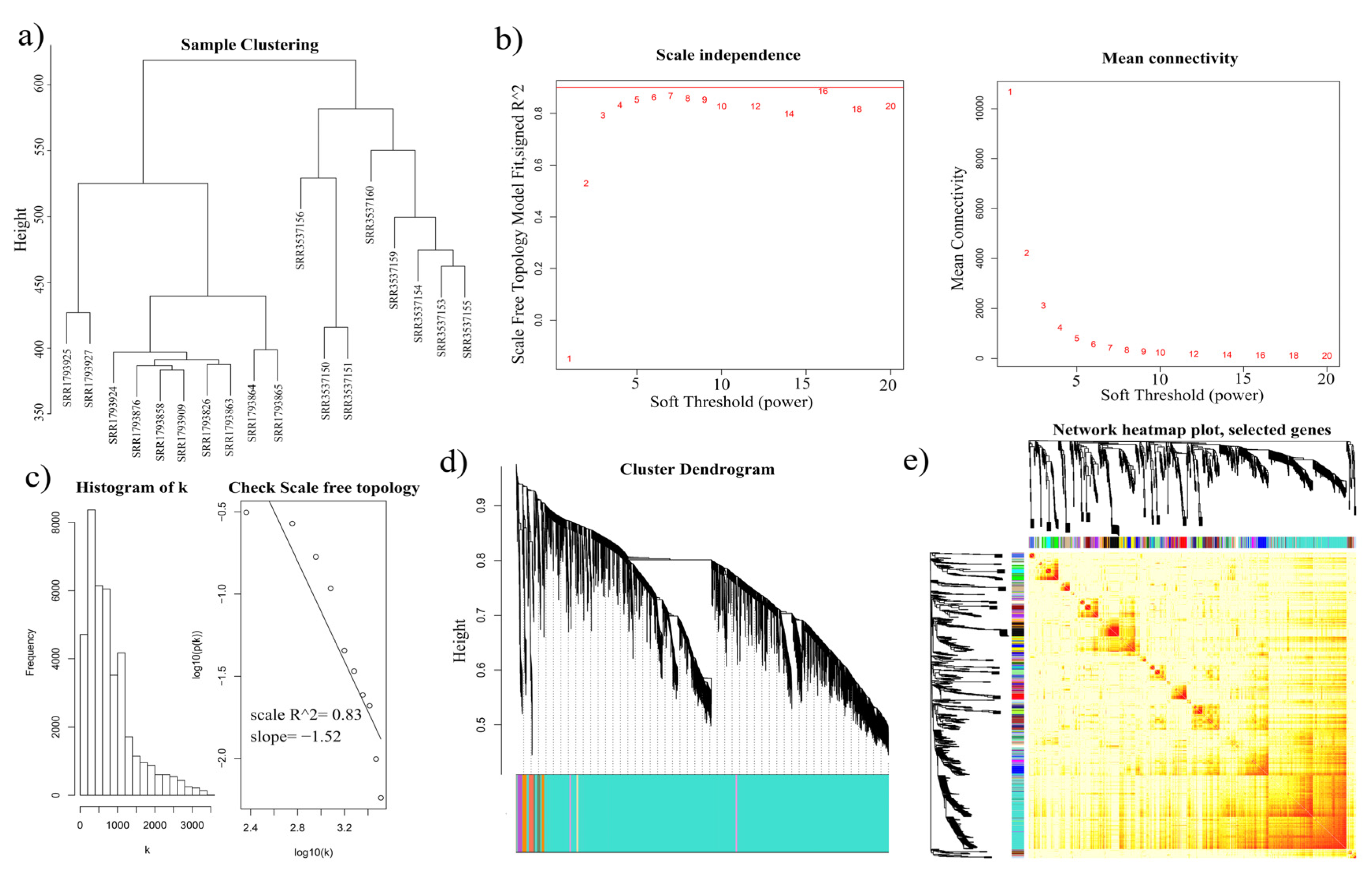 Genes 11 00784 g002 Genes 11 00784 g002