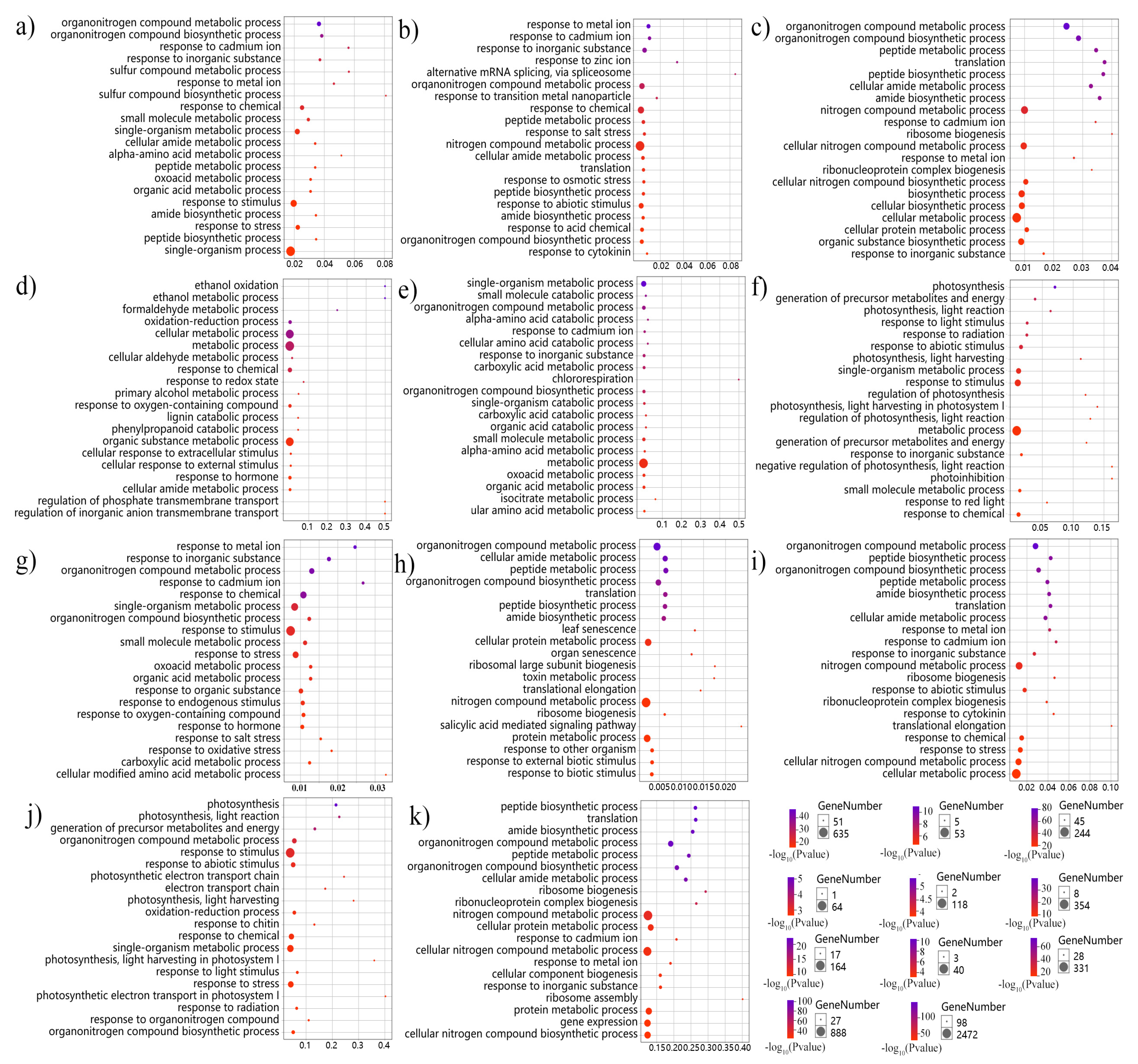 Genes 11 00784 g003 Genes 11 00784 g003