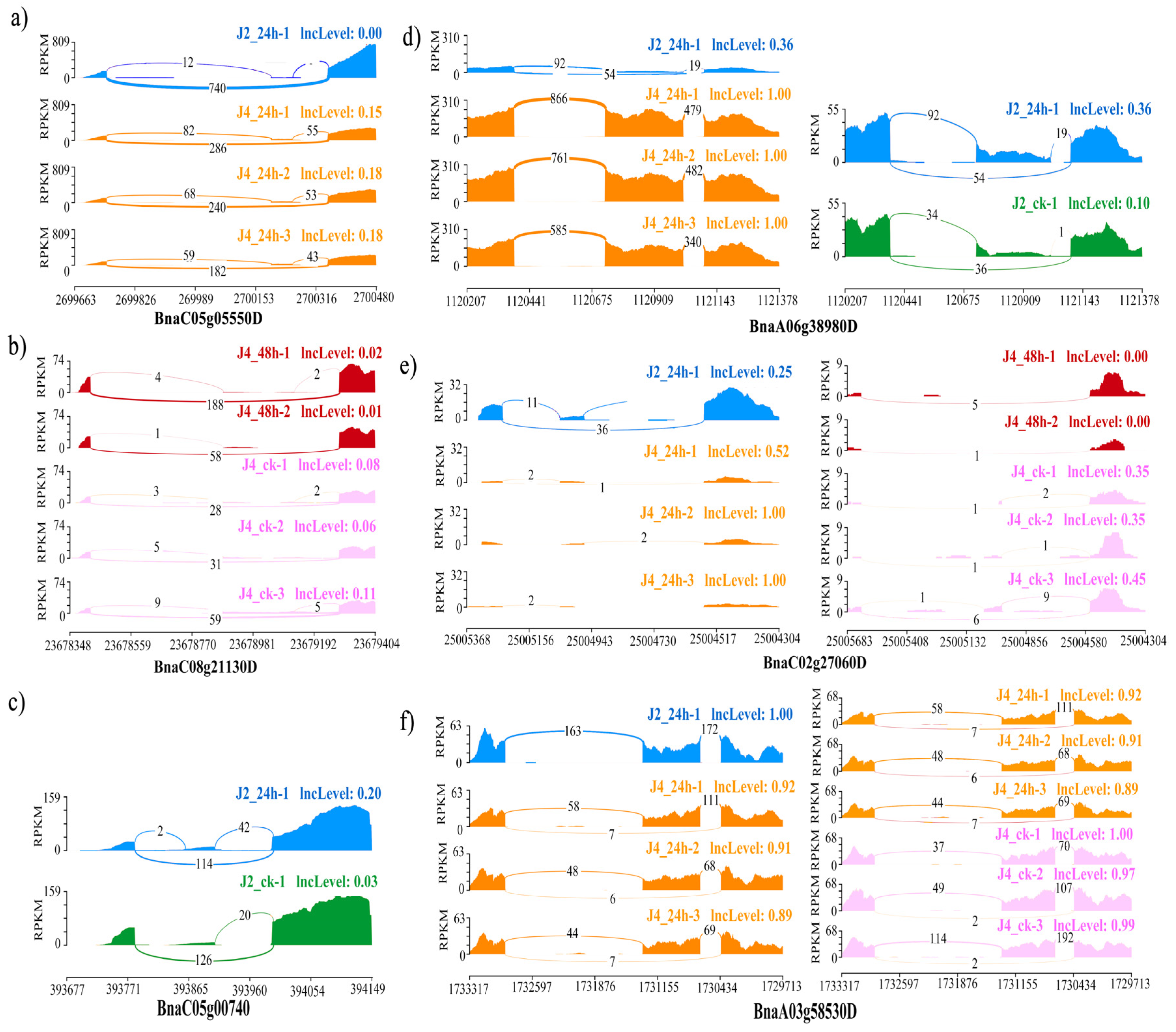 Genes 11 00784 g005 Genes 11 00784 g005