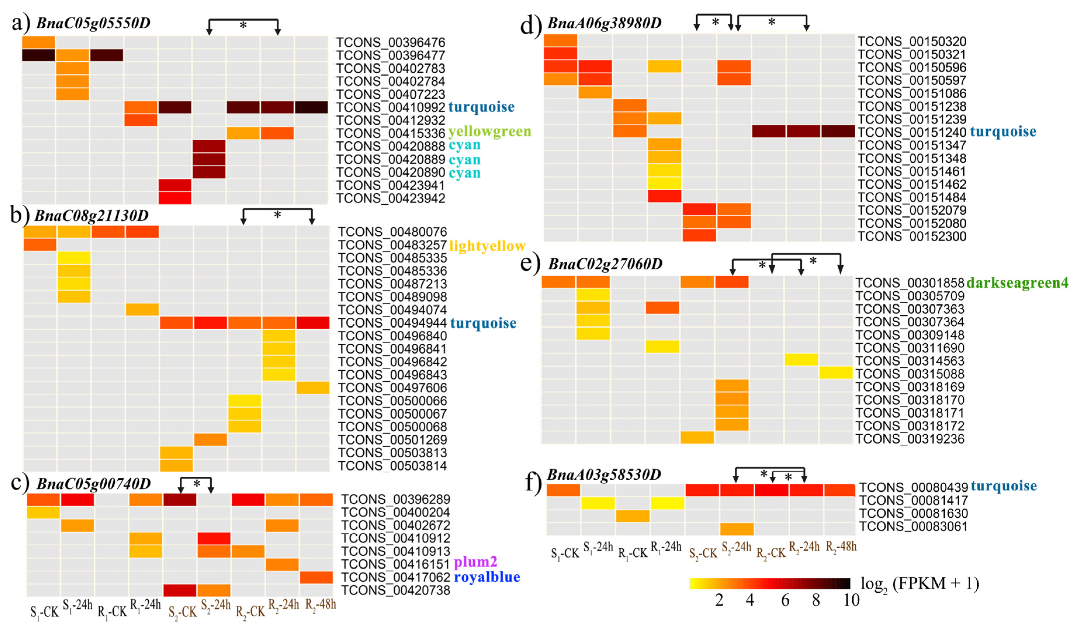 Genes 11 00784 g006 Genes 11 00784 g006