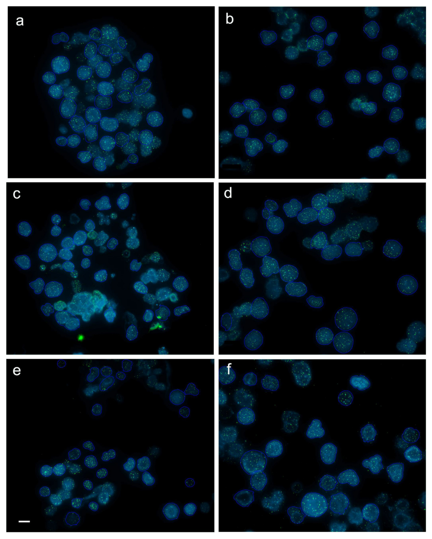 Genes 11 00786 g001 Genes 11 00786 g001