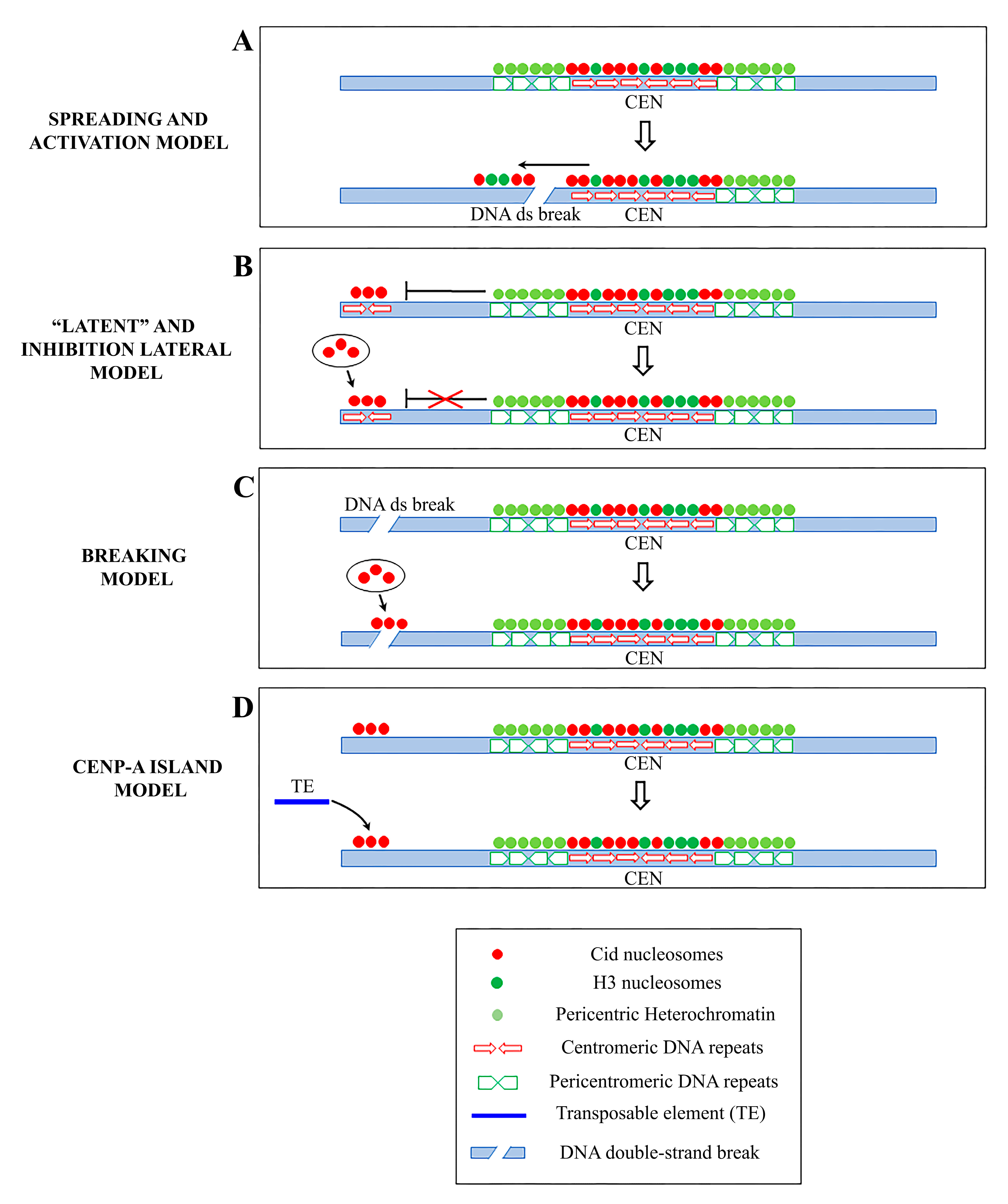 Genes 11 00809 g002 Genes 11 00809 g002