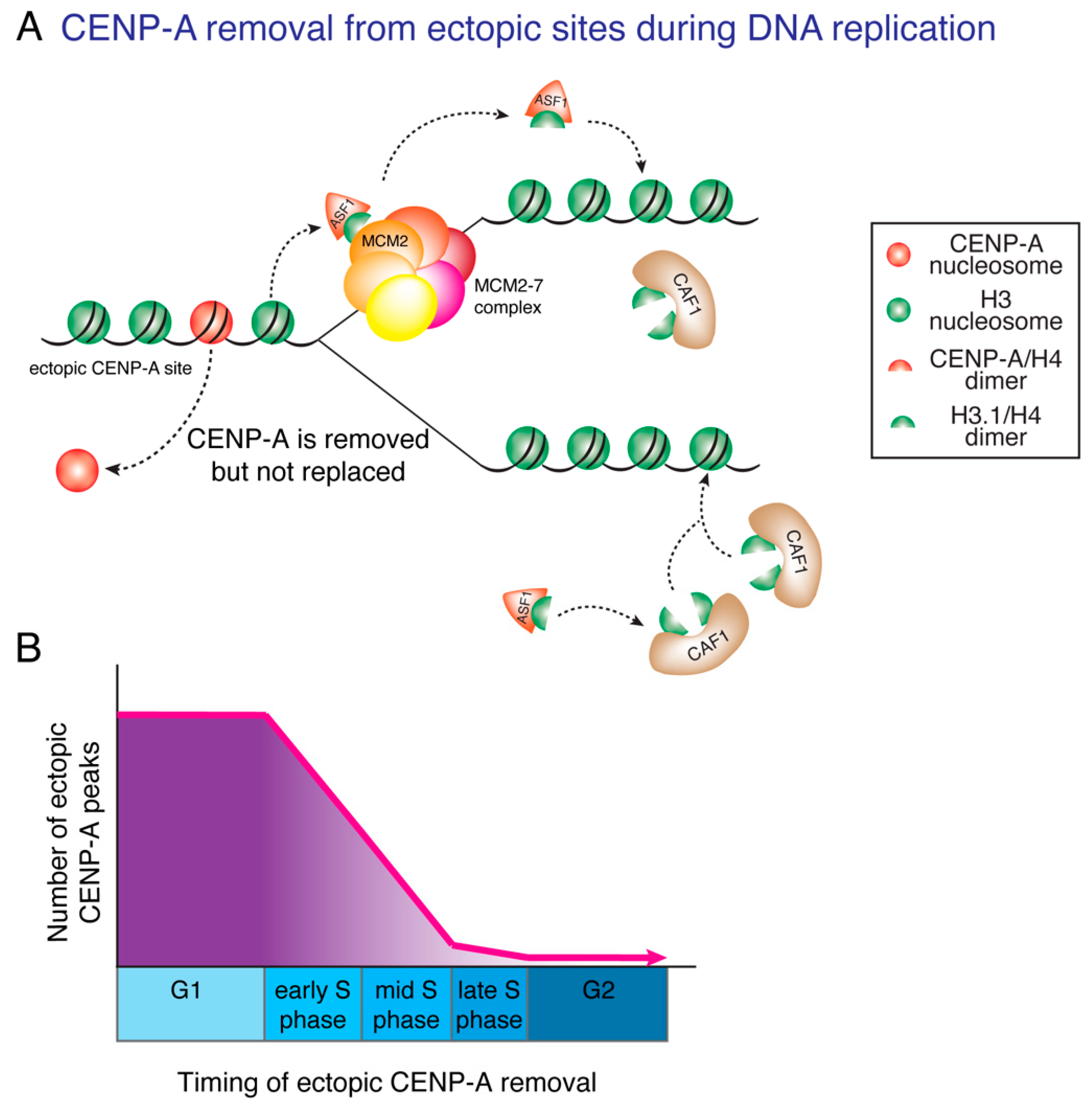 Genes 11 00810 g003 Genes 11 00810 g003