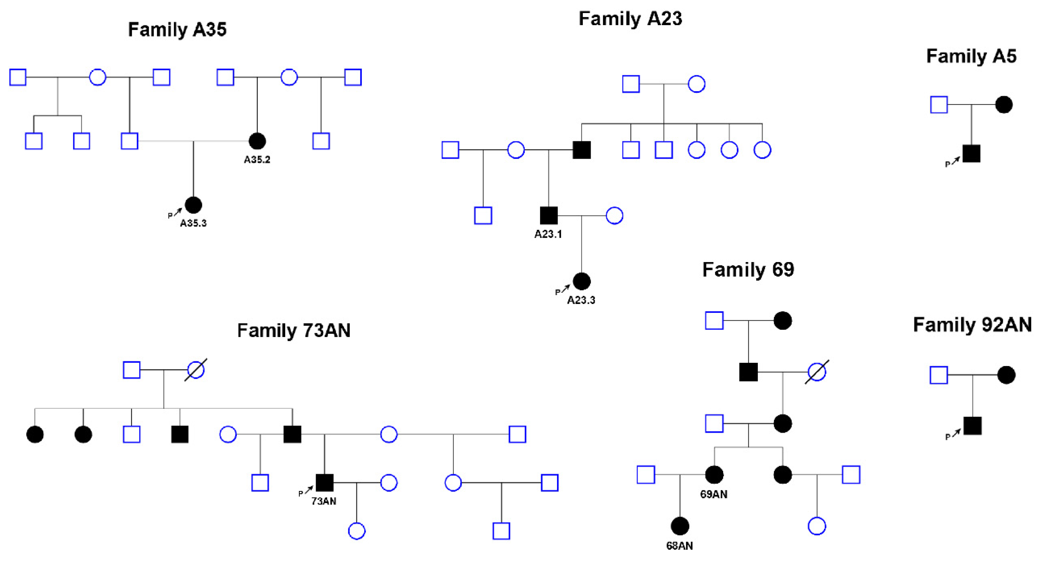 Genes 11 00812 g001 Genes 11 00812 g001