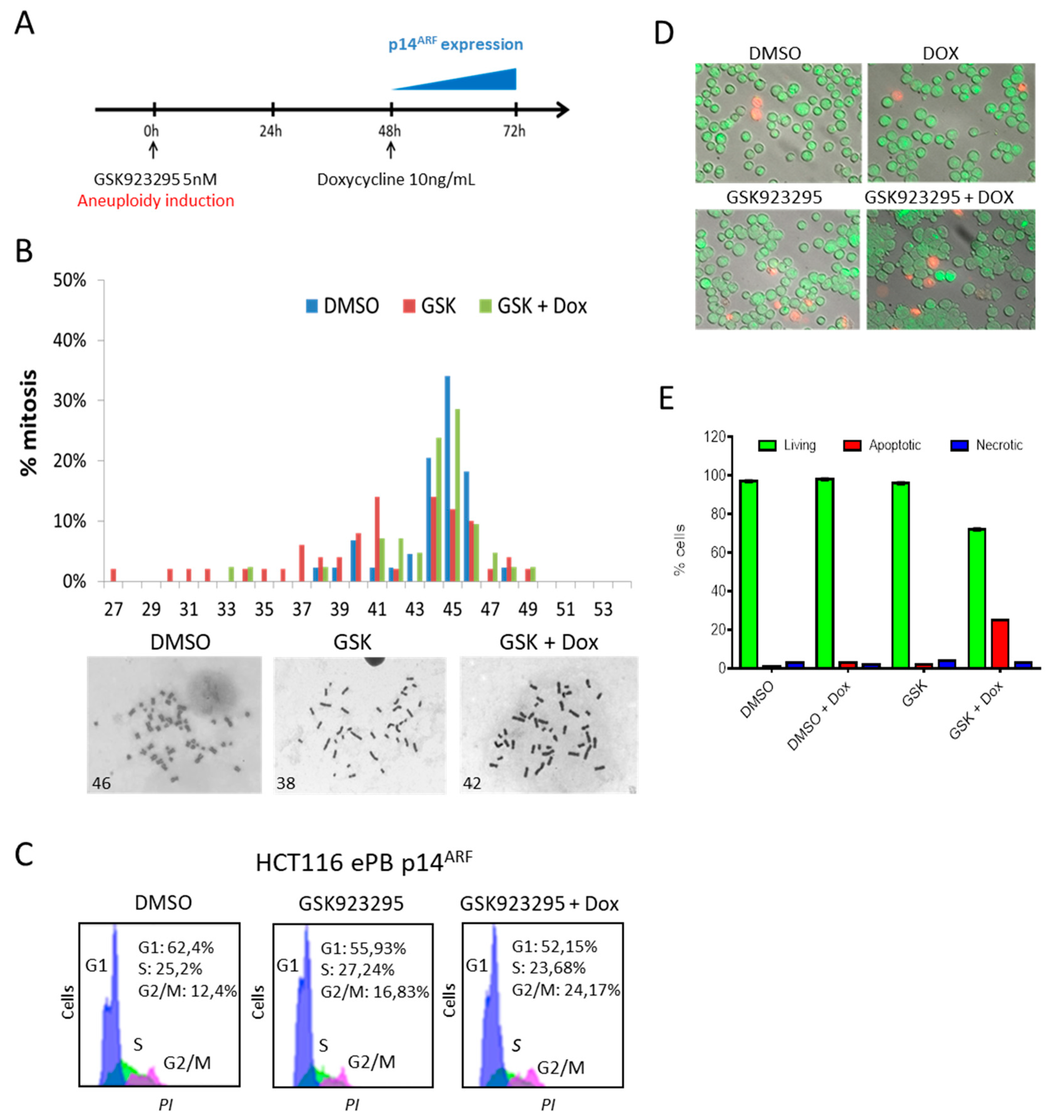 Genes 11 00824 g002 Genes 11 00824 g002