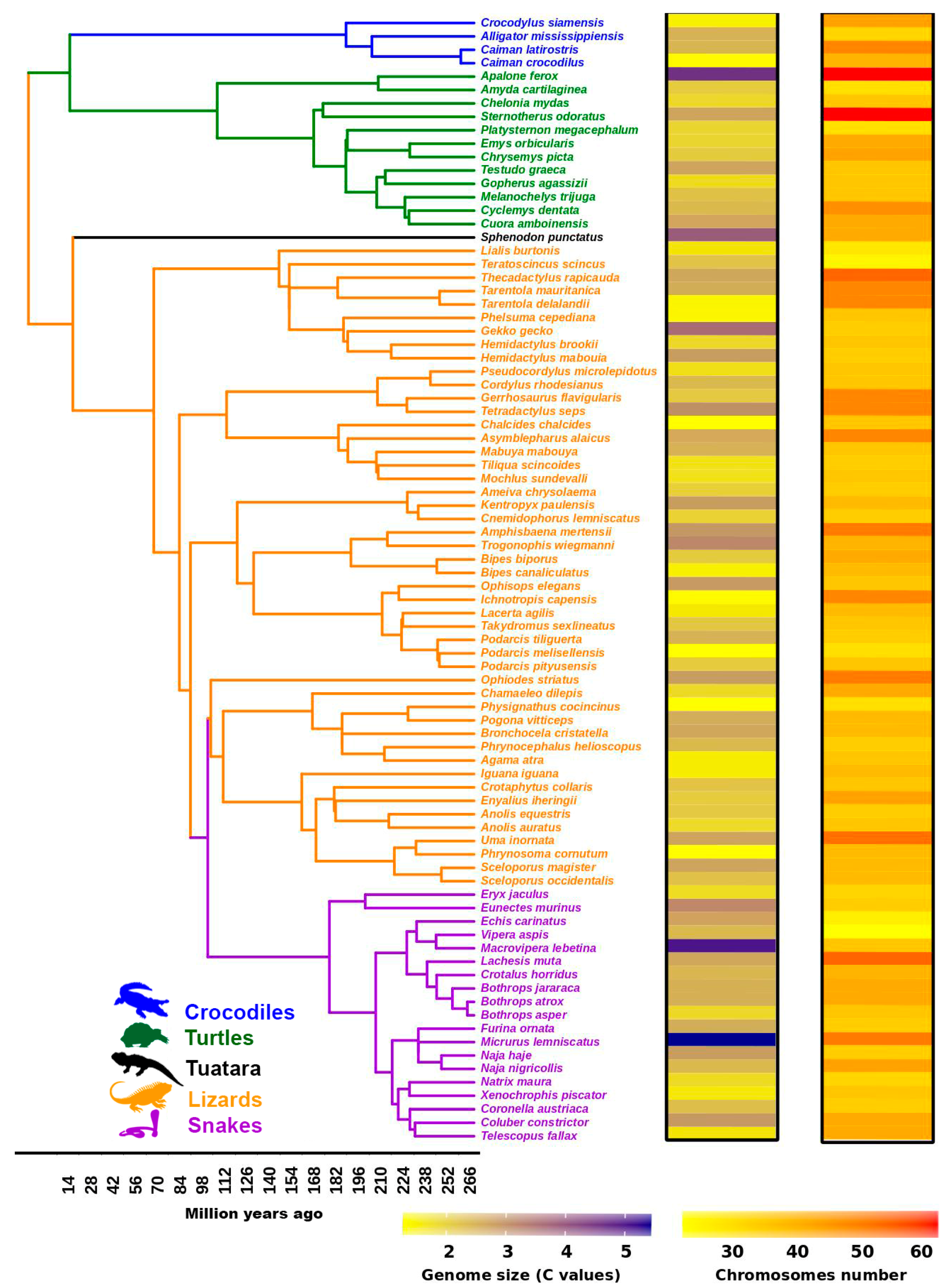 Genes 11 00827 g004 Genes 11 00827 g004