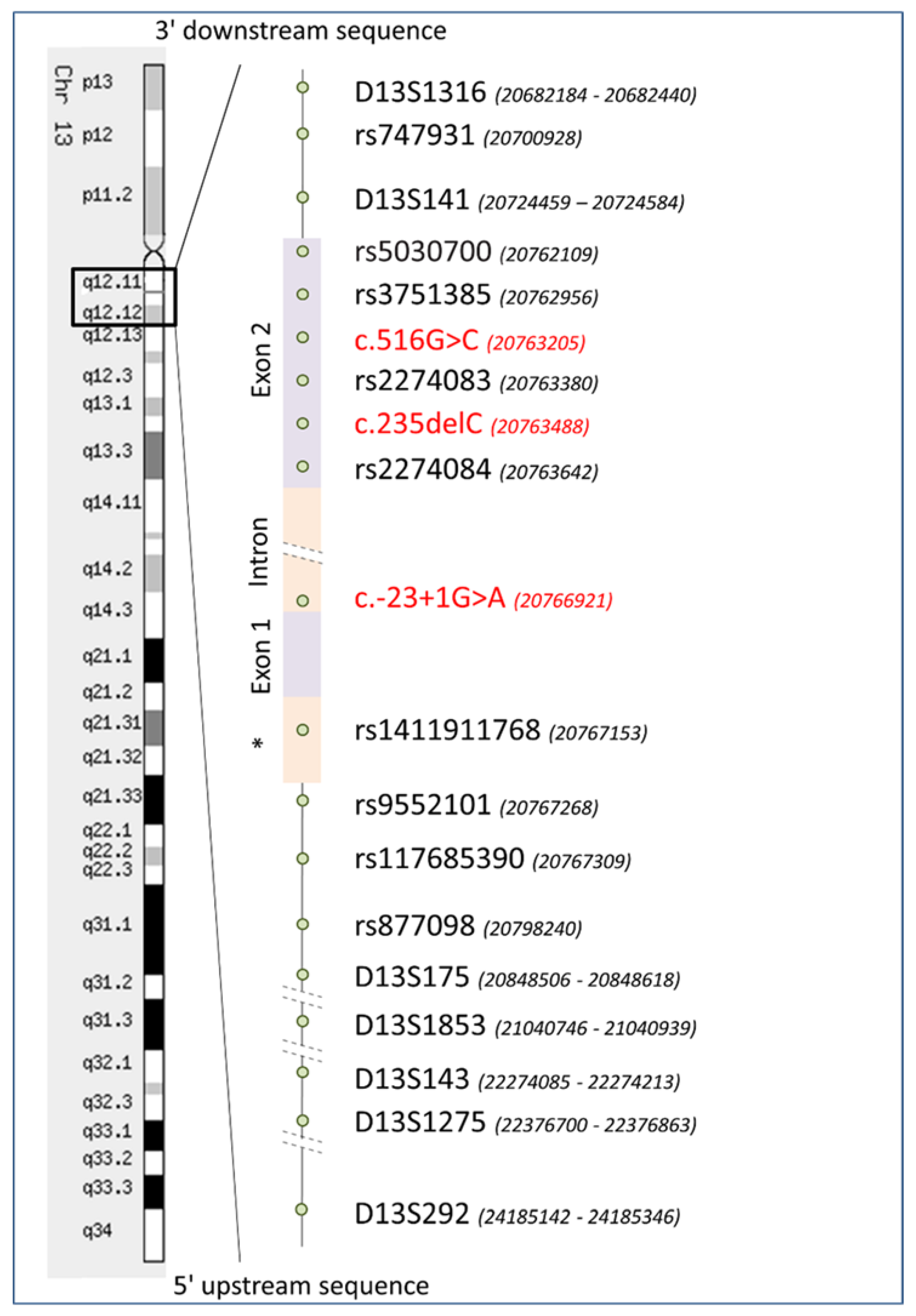 Genes 11 00833 g001 Genes 11 00833 g001