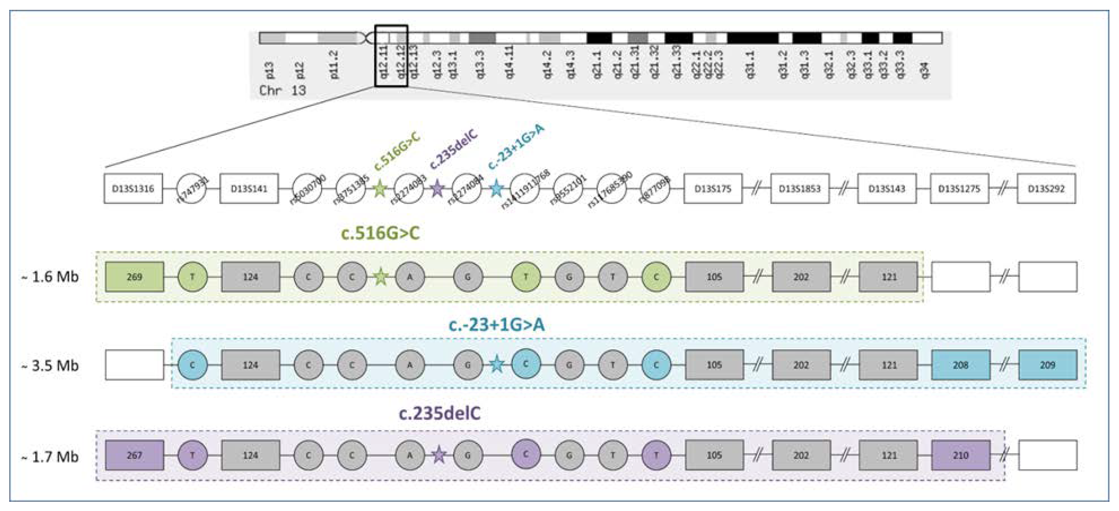 Genes 11 00833 g002 Genes 11 00833 g002