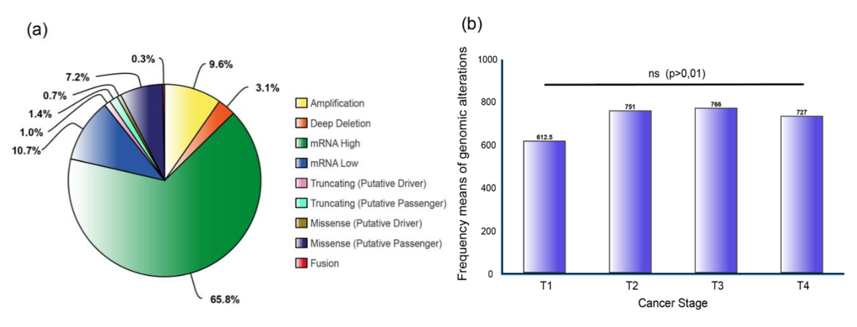 Genes 11 00834 g002