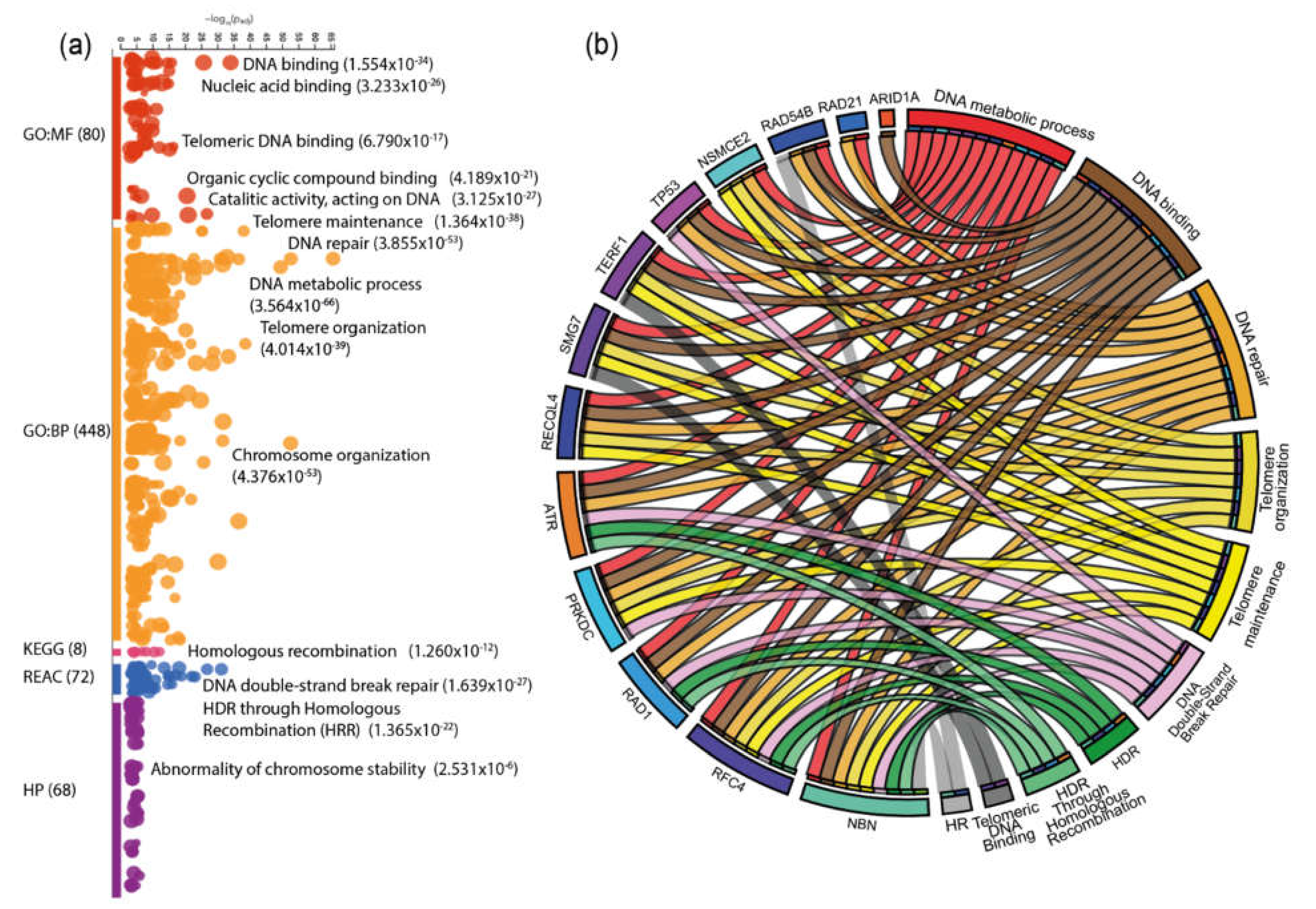 Genes 11 00834 g006