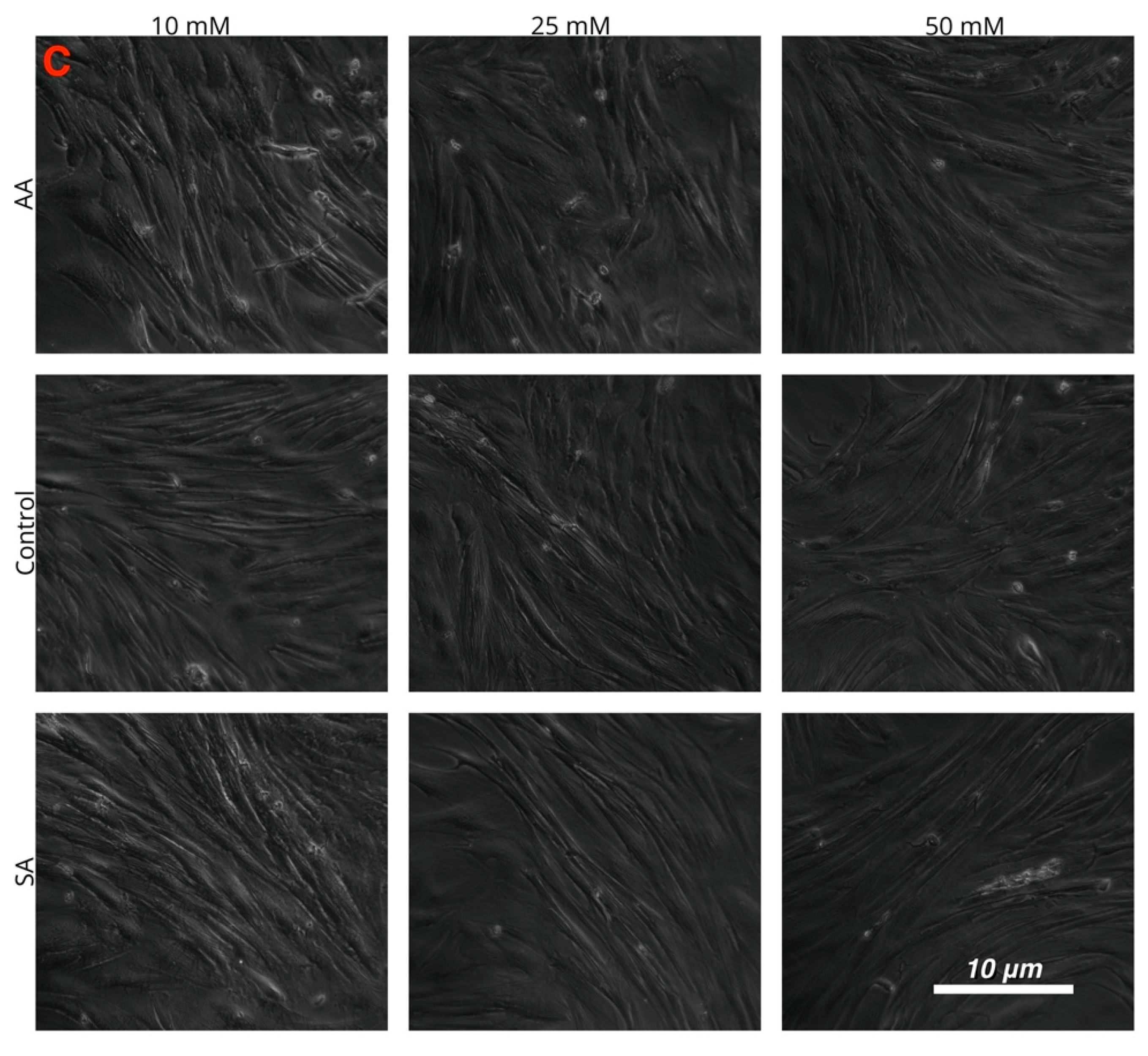 Genes 11 00840 g004b