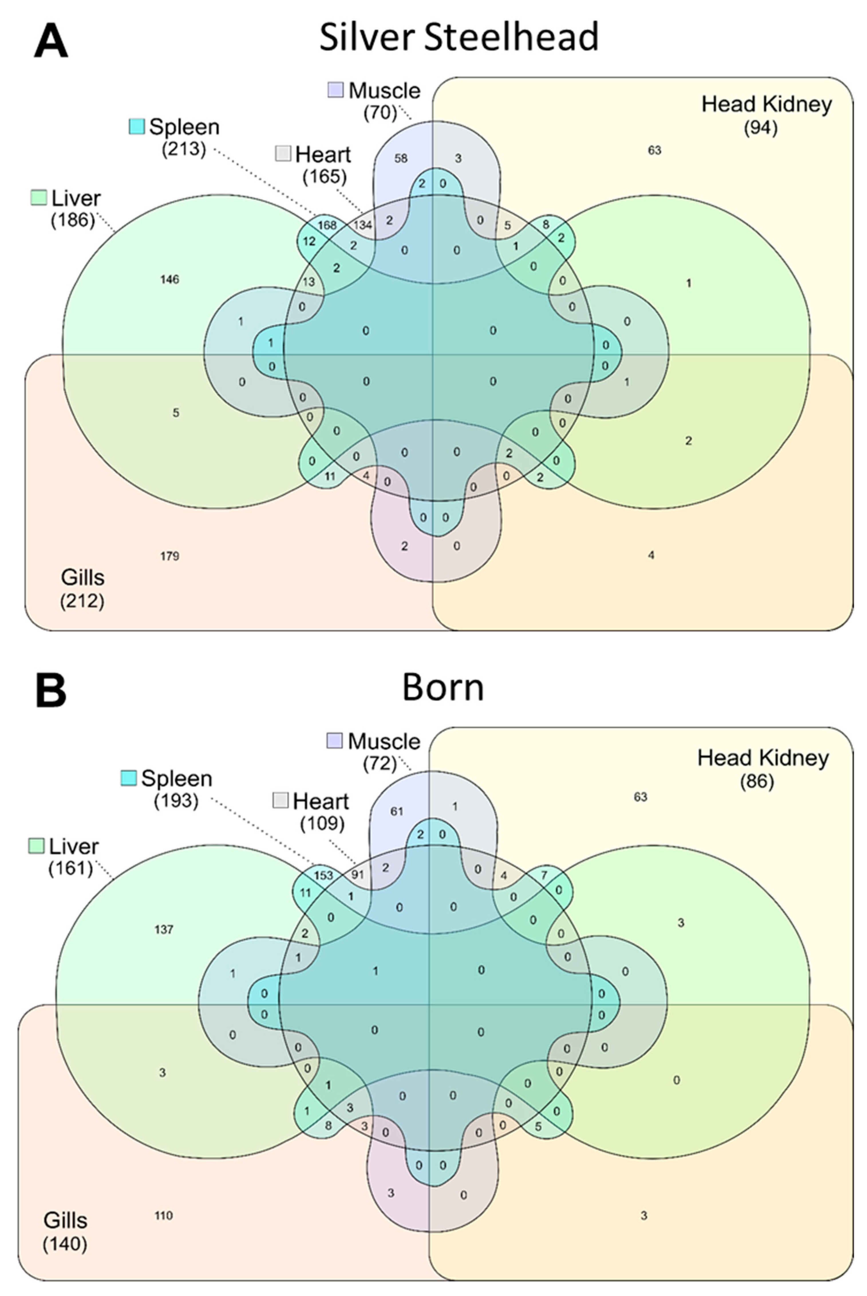 Genes 11 00841 g001 Genes 11 00841 g001