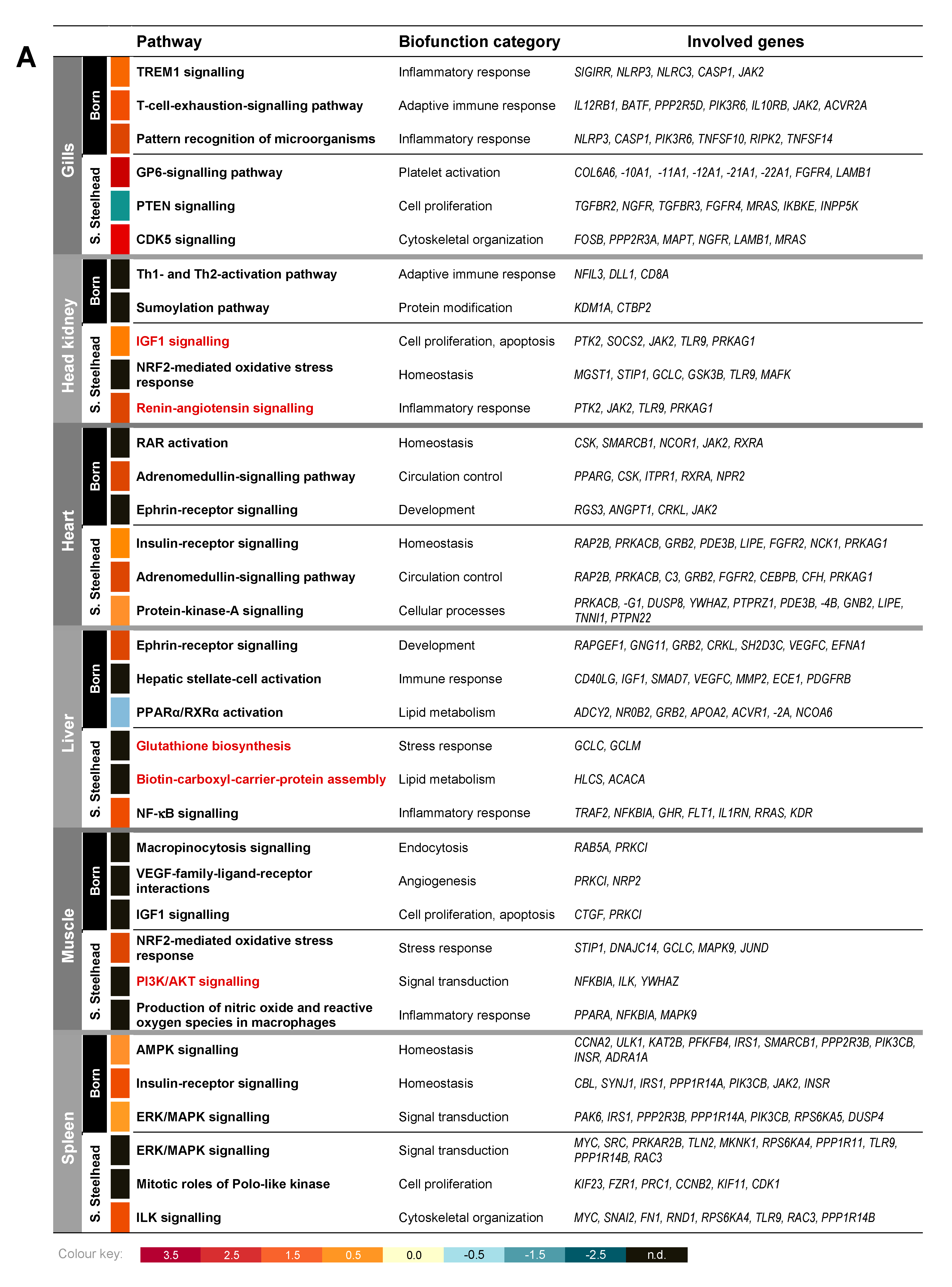 Genes 11 00841 g002a Genes 11 00841 g002a