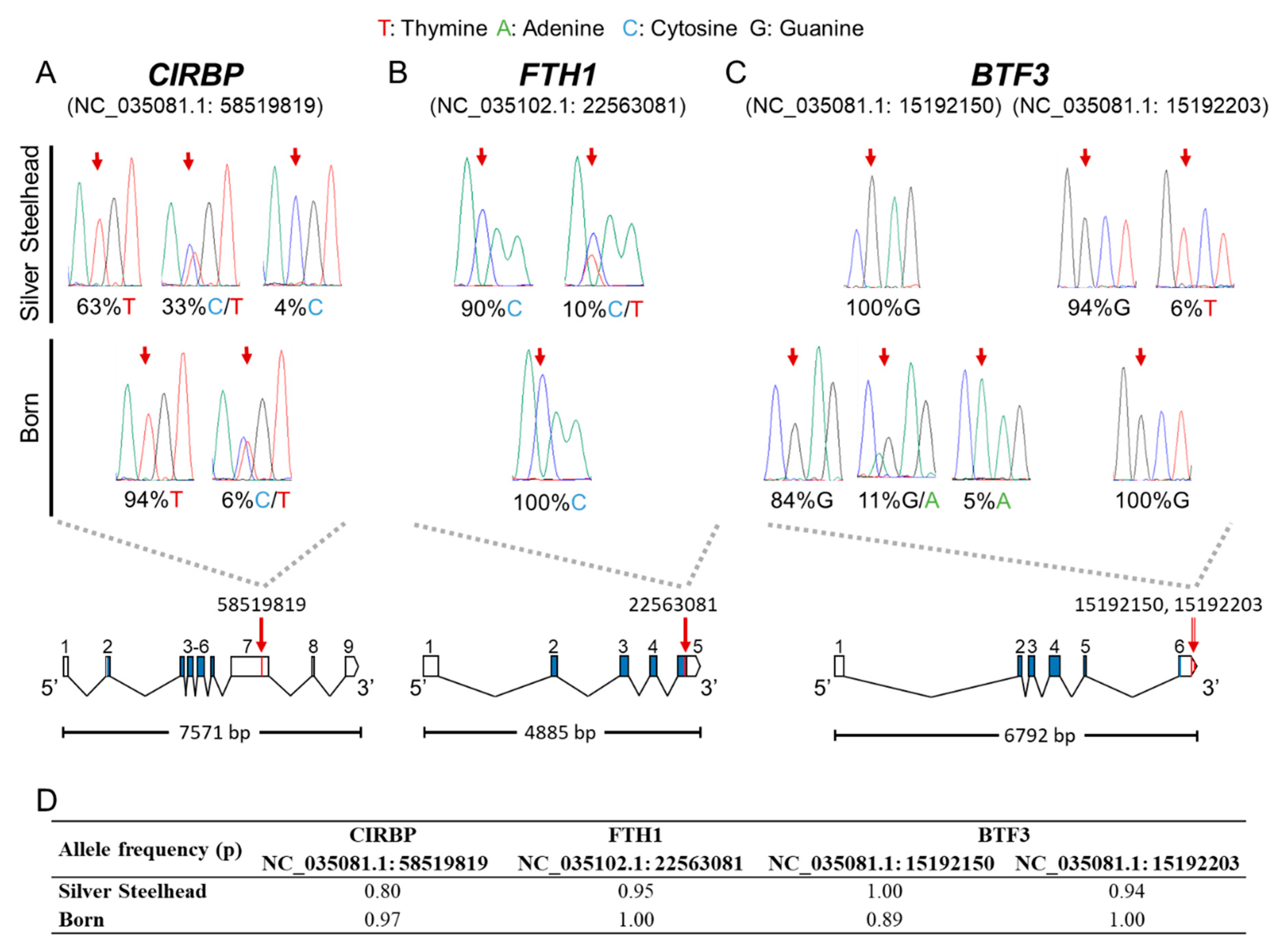 Genes 11 00841 g005 Genes 11 00841 g005