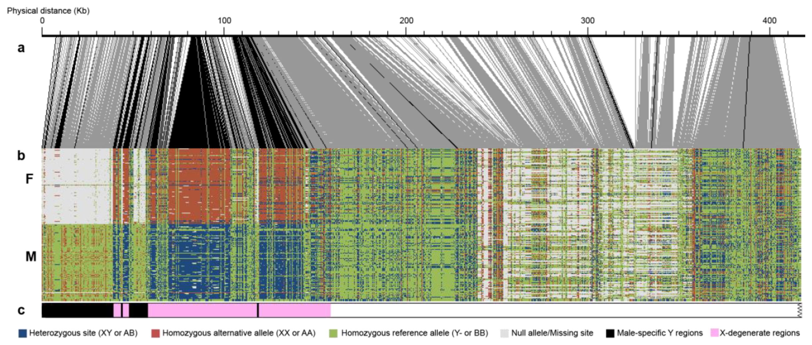 Genes 11 00843 g003