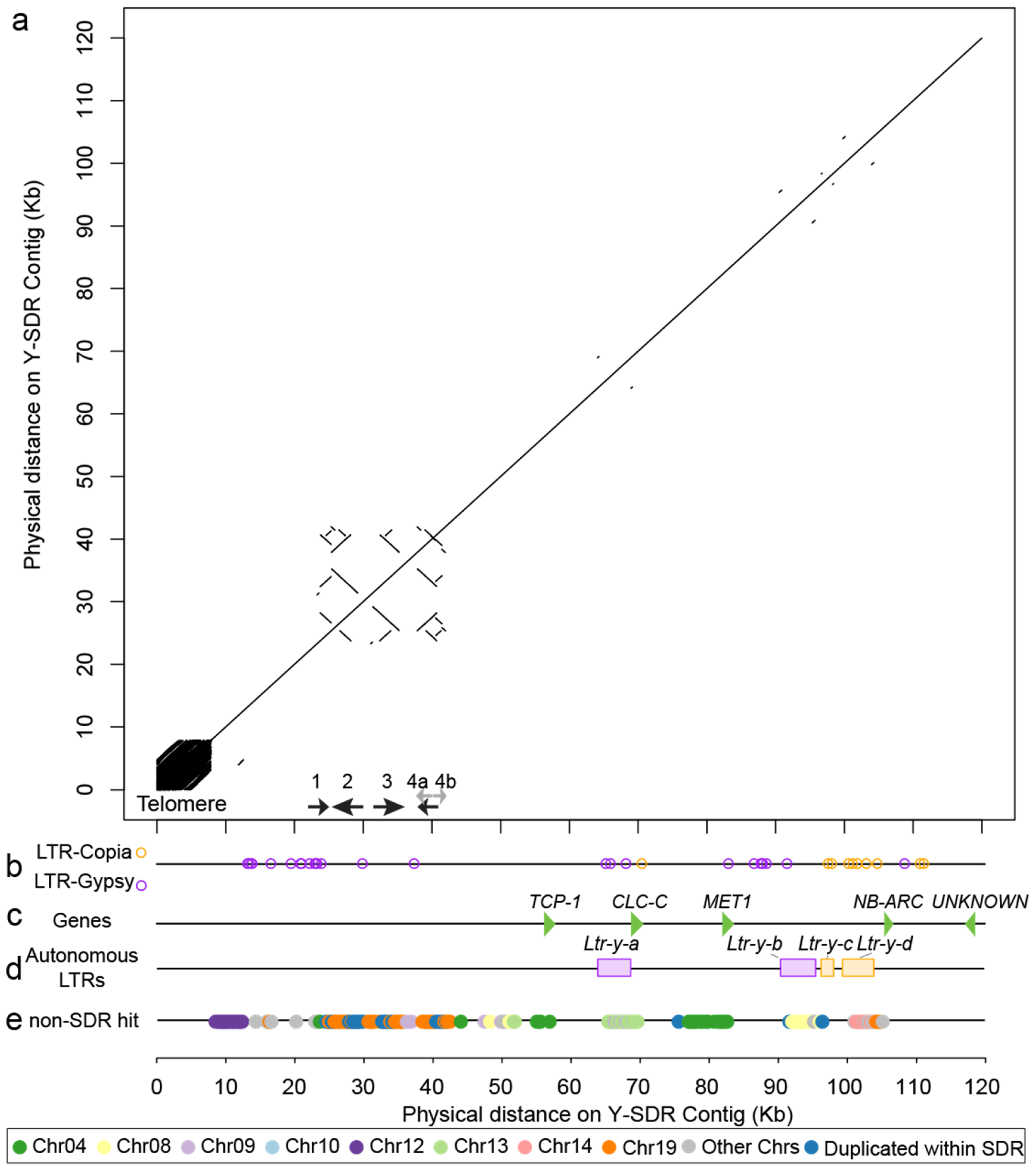 Genes 11 00843 g004