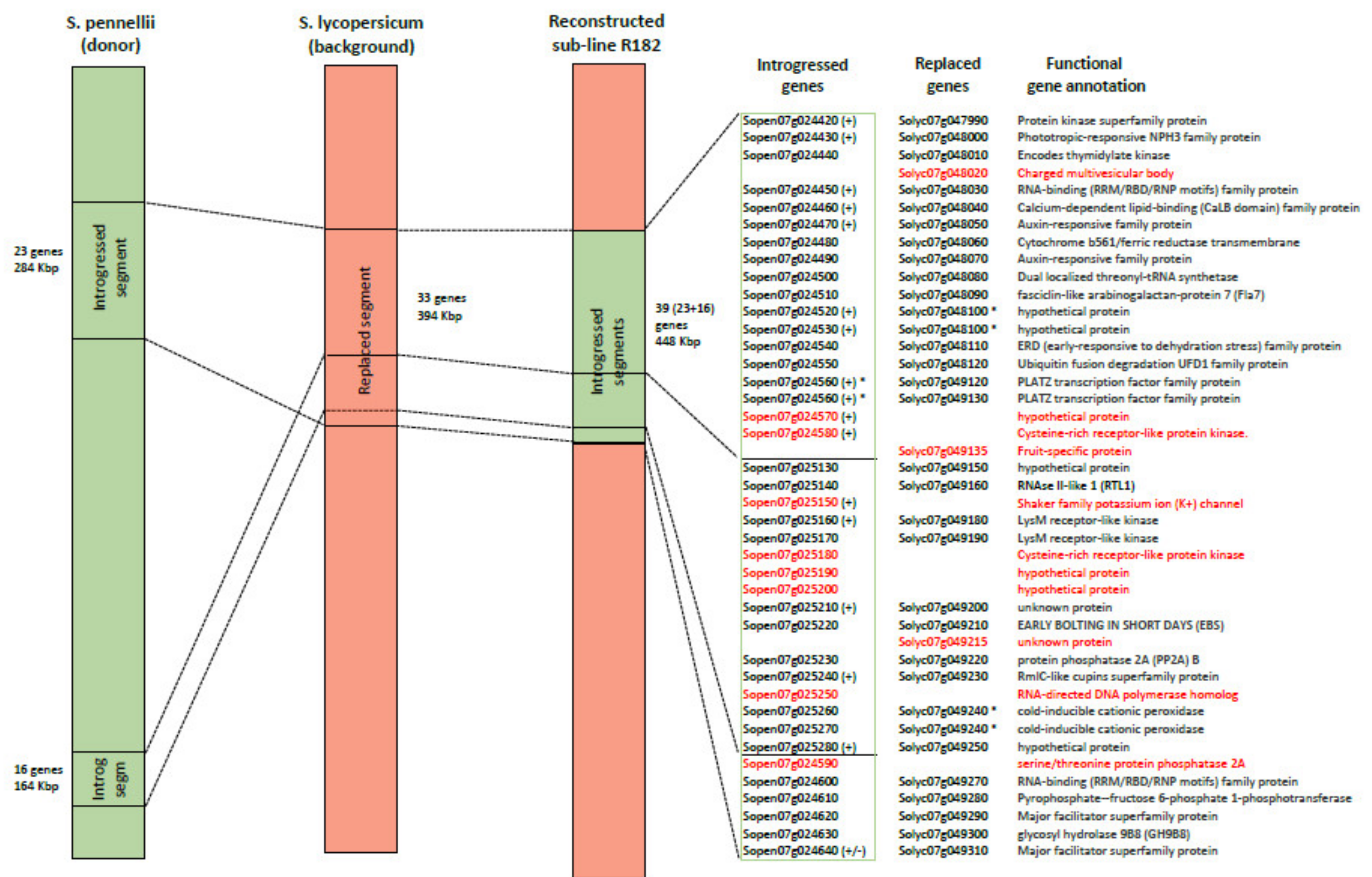 Genes 11 00847 g002 Genes 11 00847 g002