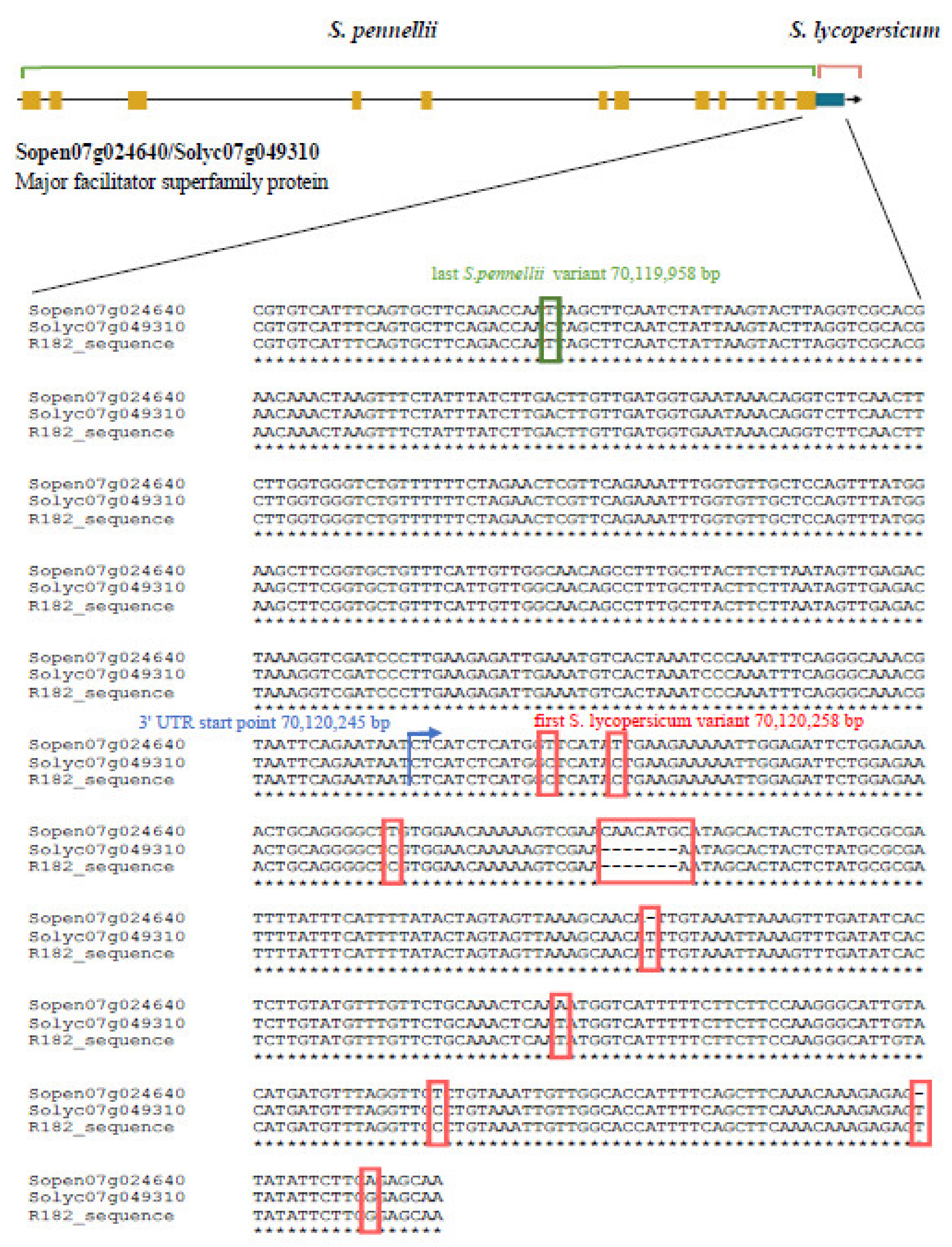 Genes 11 00847 g003 Genes 11 00847 g003