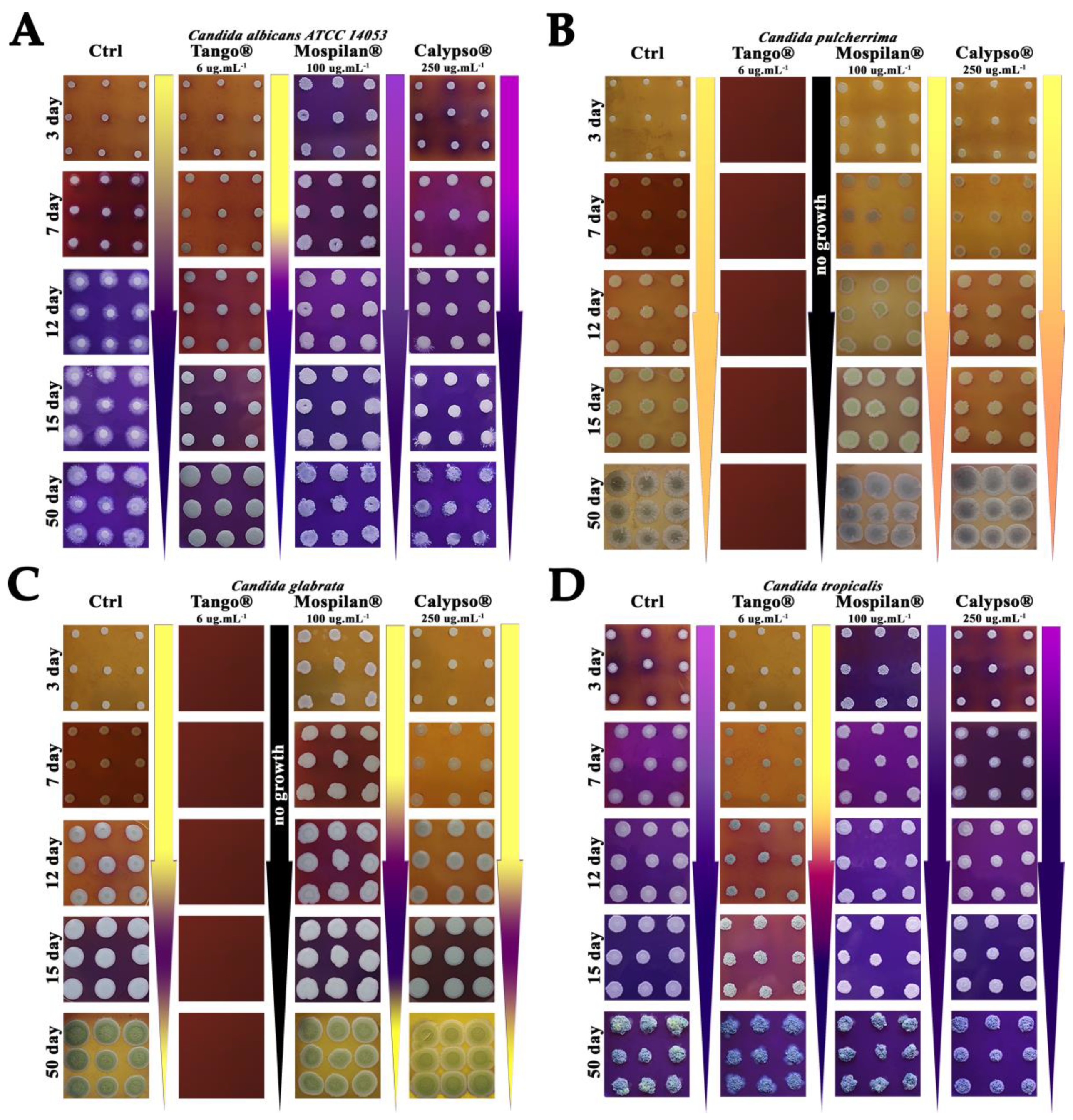 Genes 11 00848 g003 Genes 11 00848 g003