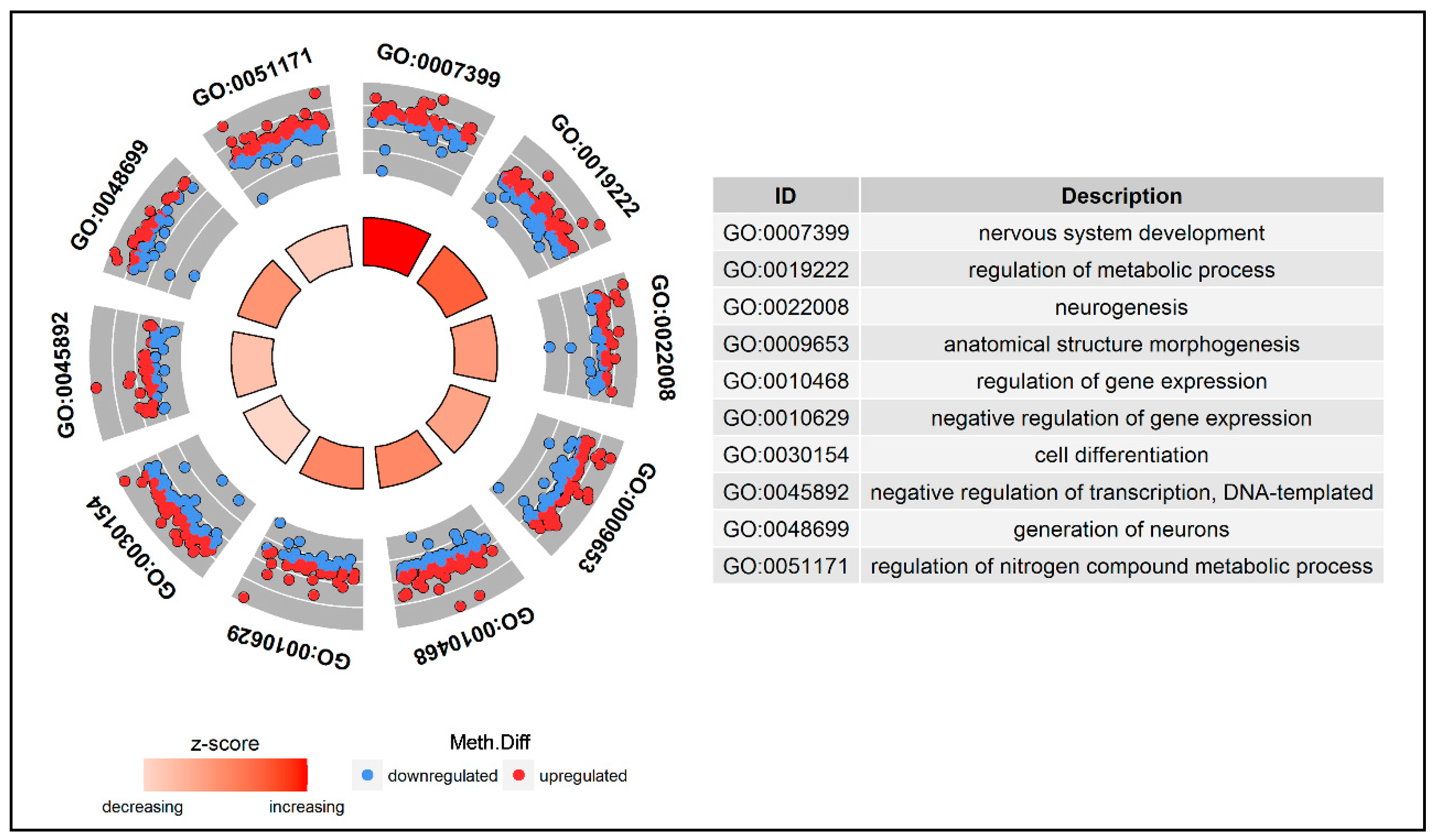 Genes 11 00850 g005