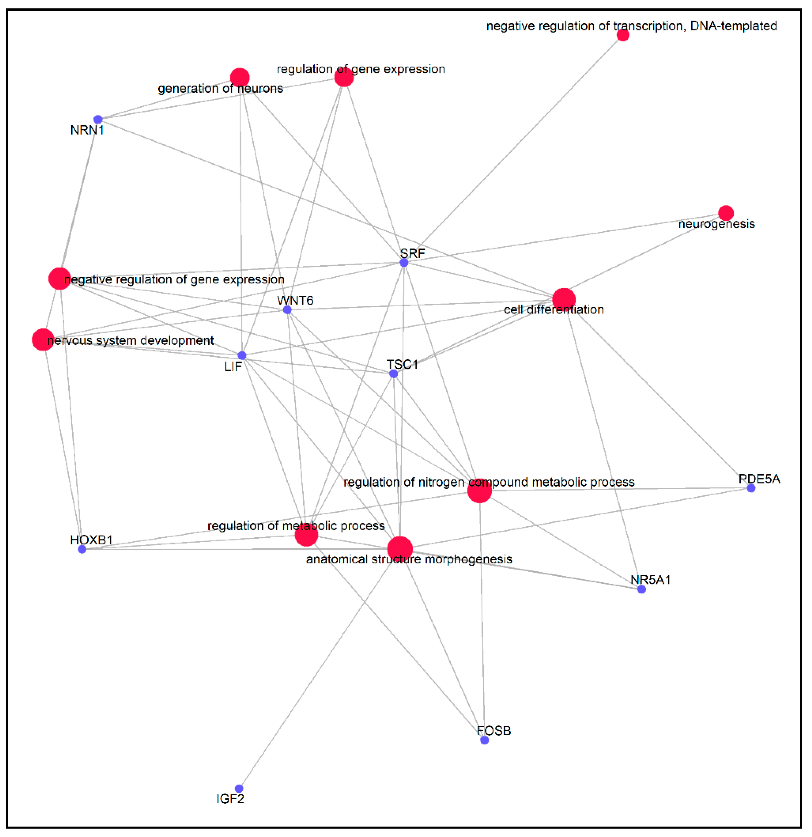 Genes 11 00850 g006