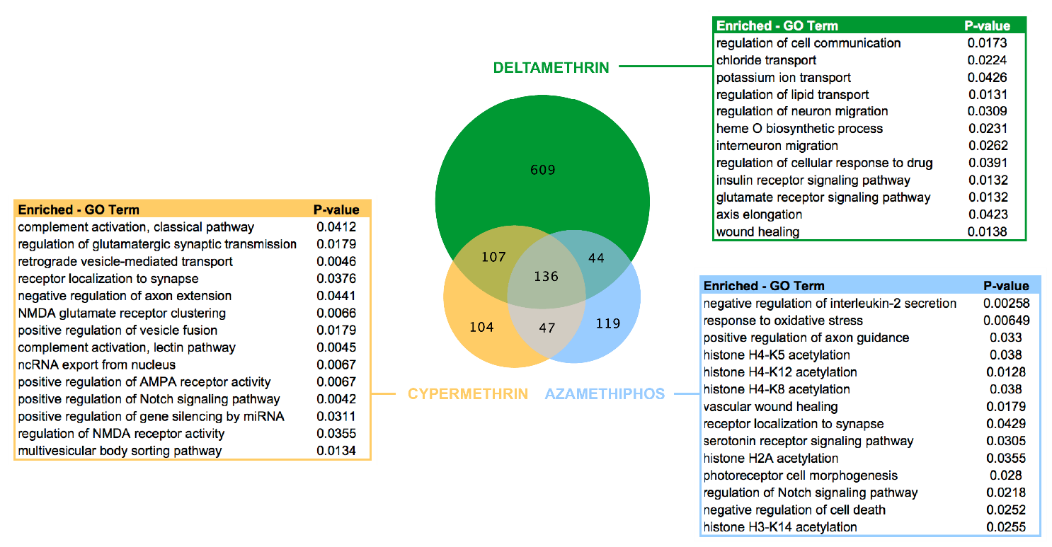 Genes 11 00857 g002