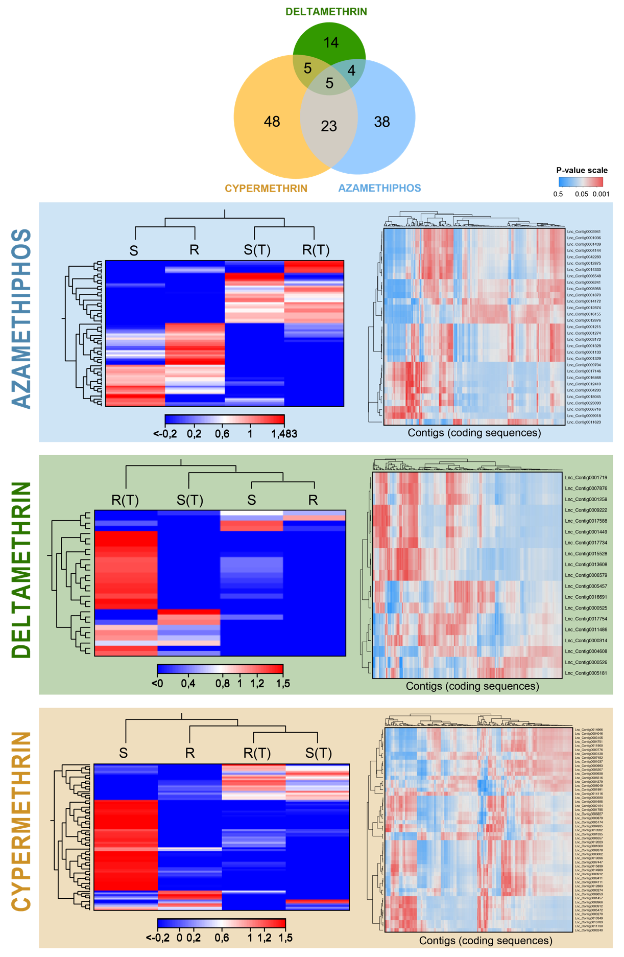Genes 11 00857 g005