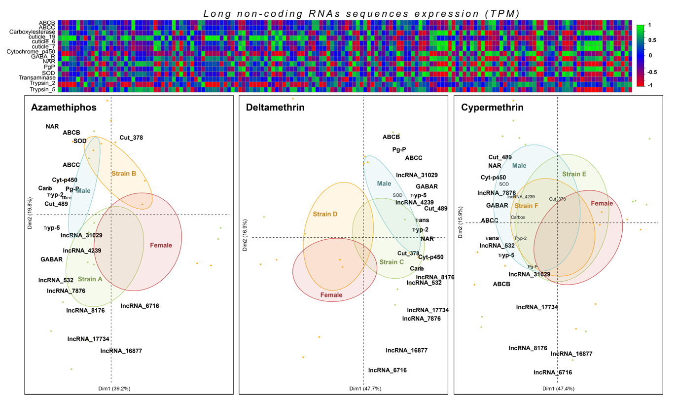 Genes 11 00857 g006