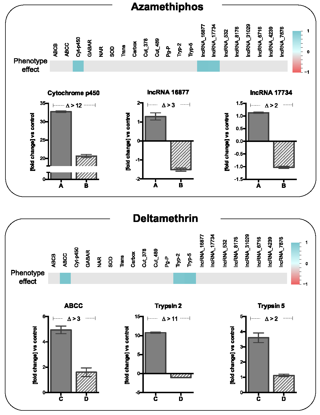 Genes 11 00857 g007