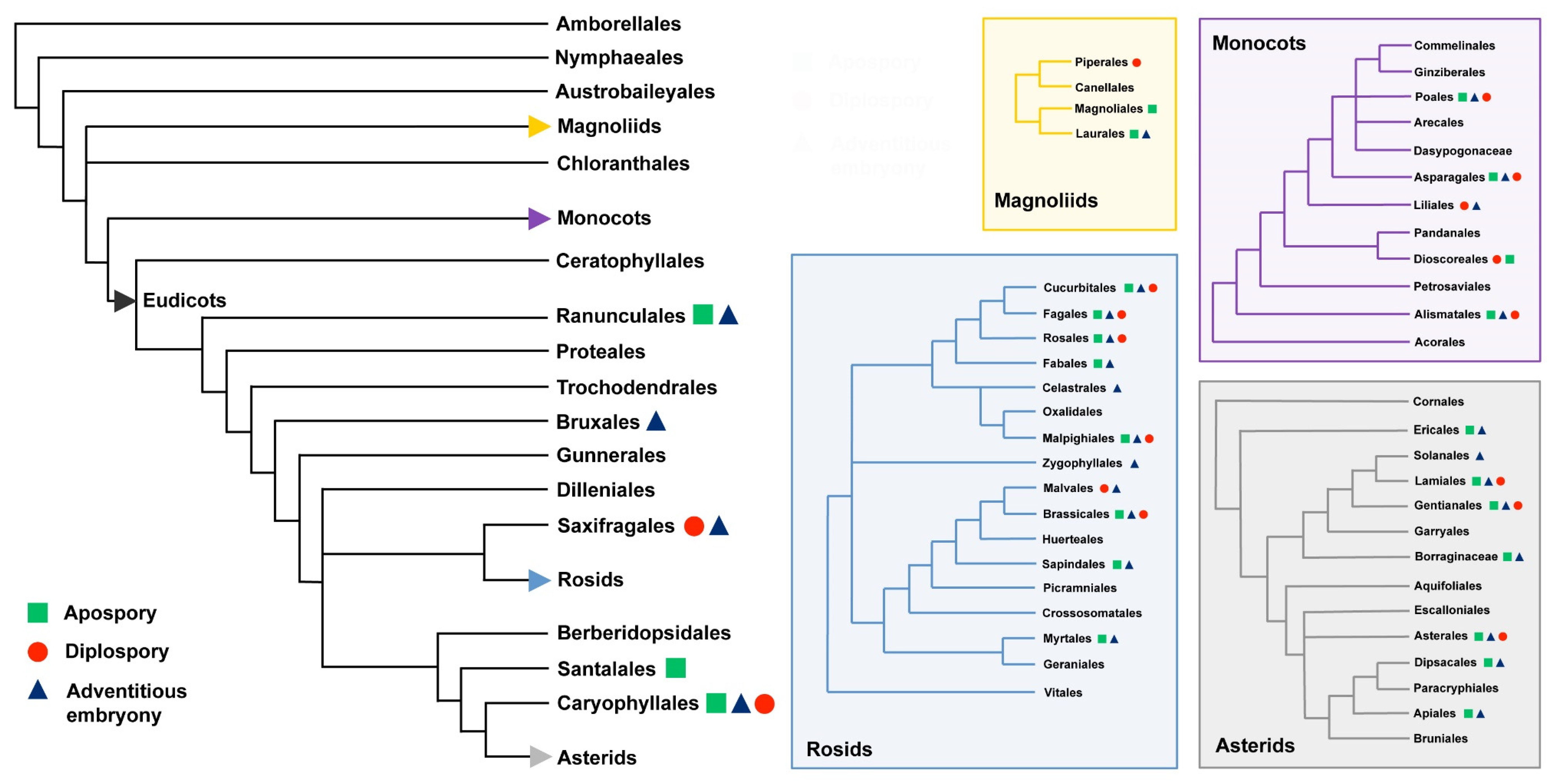 Genes 11 00859 g001 Genes 11 00859 g001