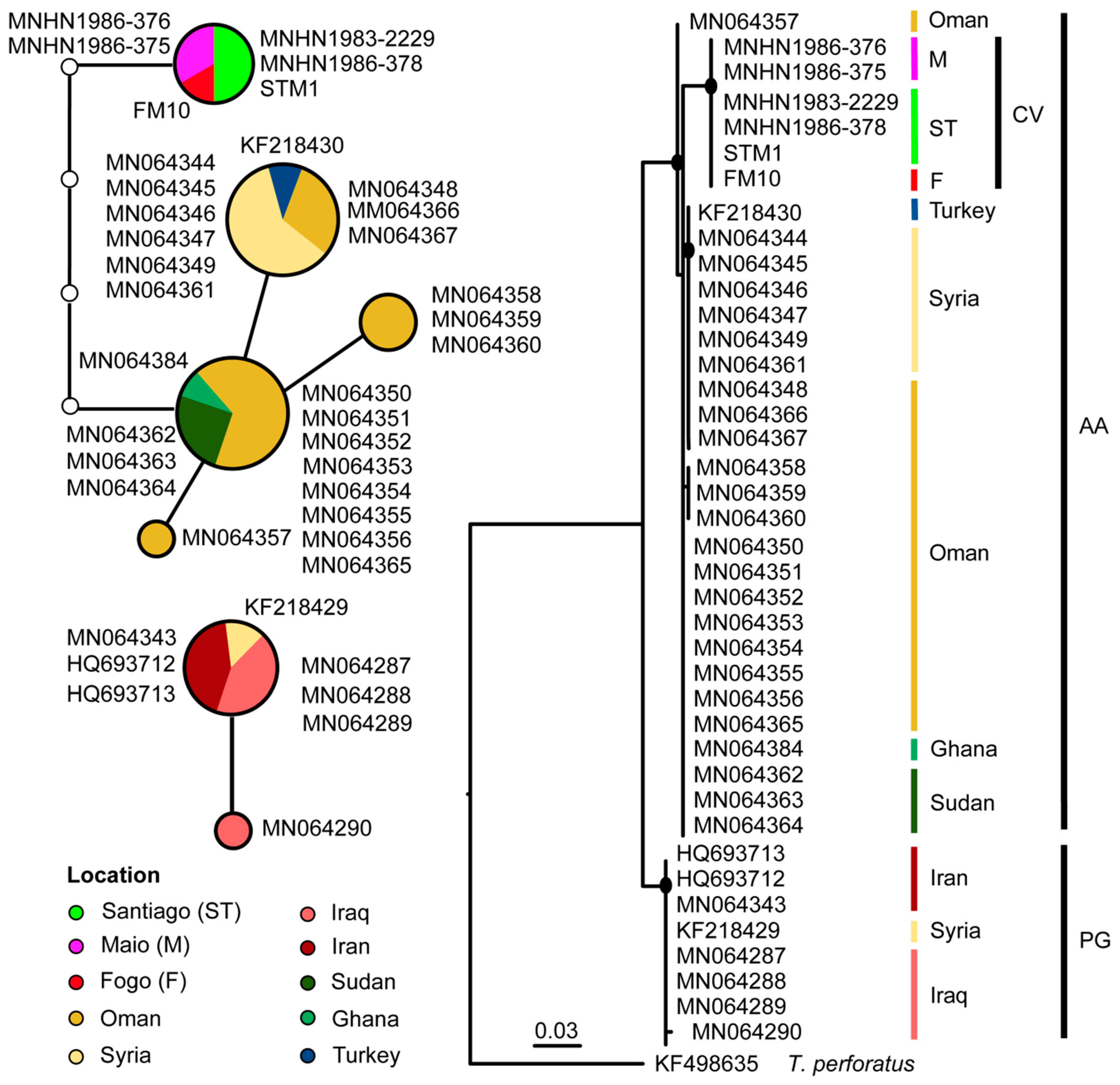 Genes 11 00877 g005