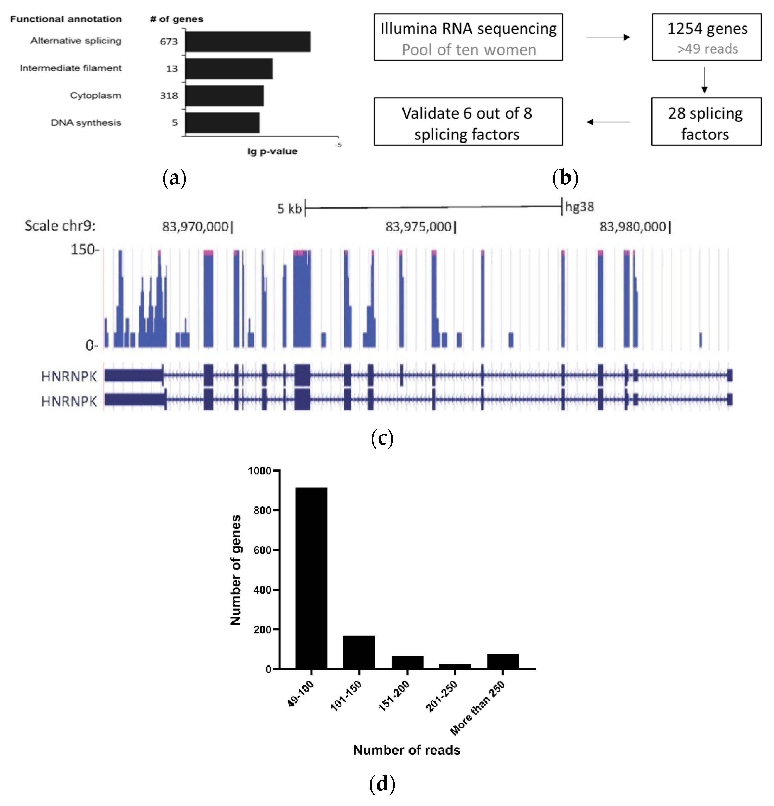 Genes 11 00880 g001
