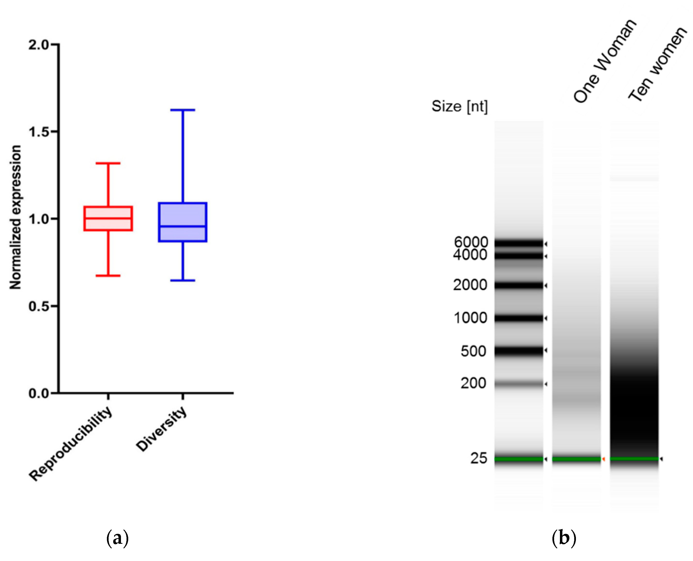 Genes 11 00880 g002