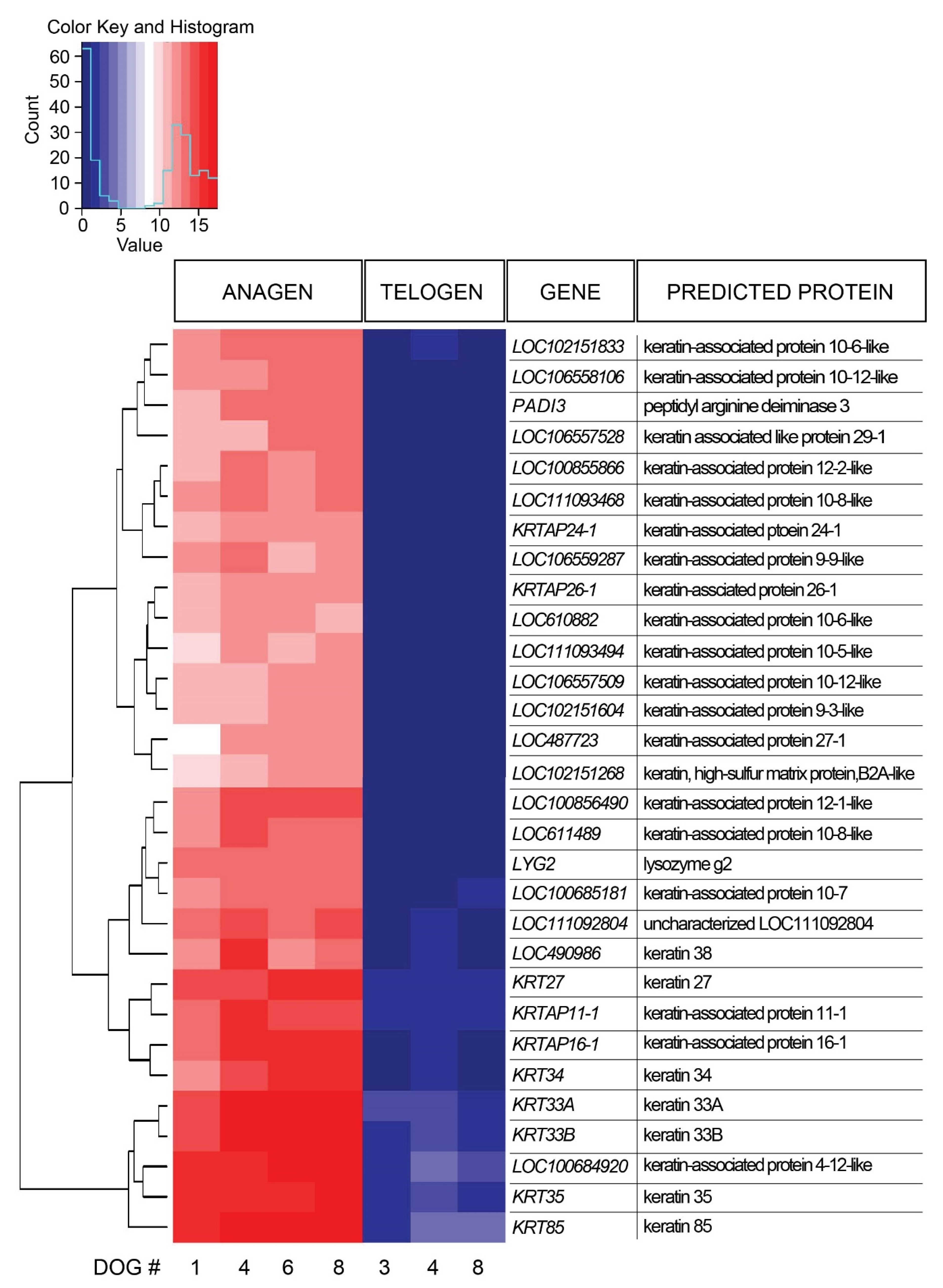 Genes 11 00884 g002