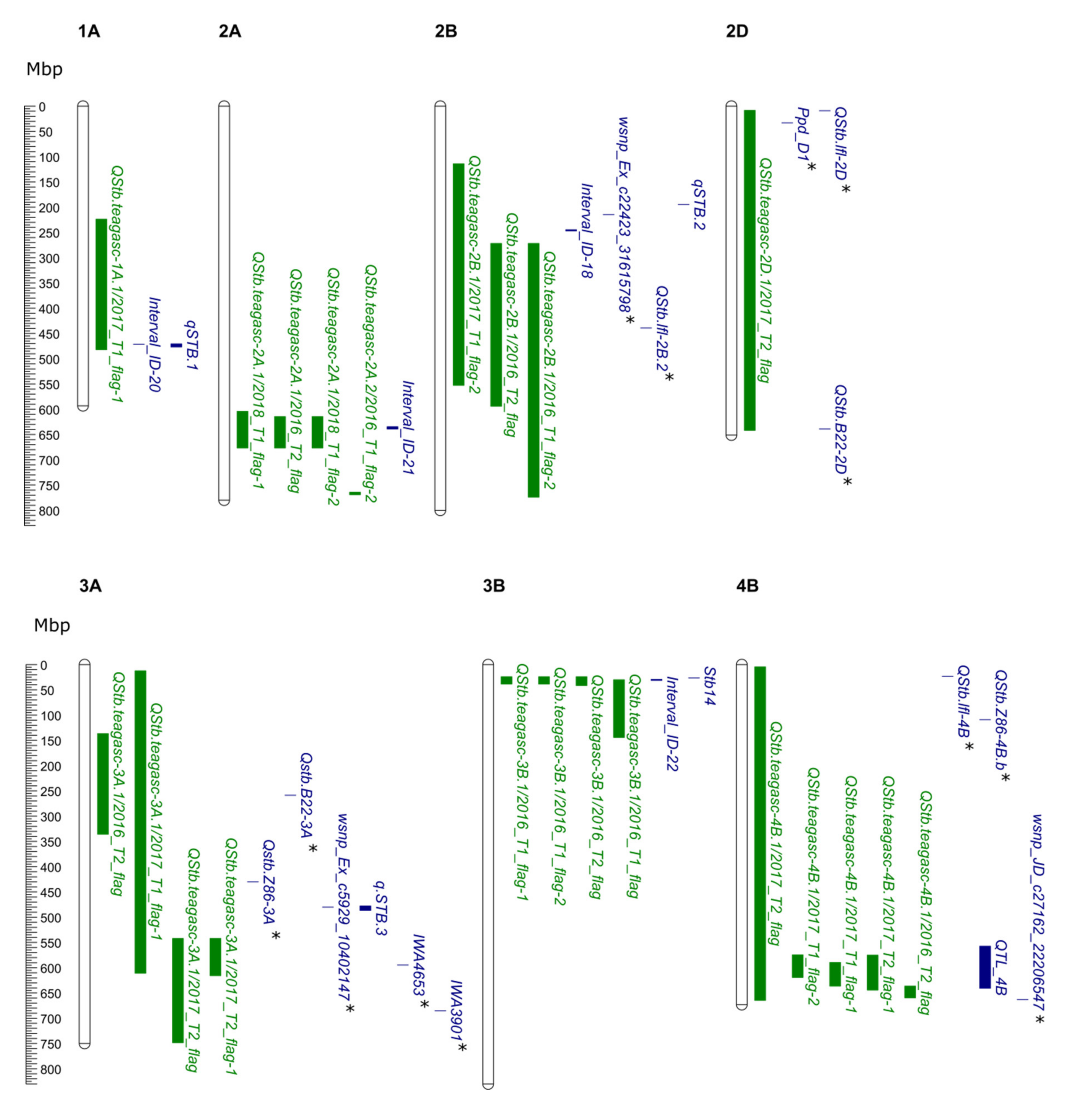 Genes 11 00887 g003a