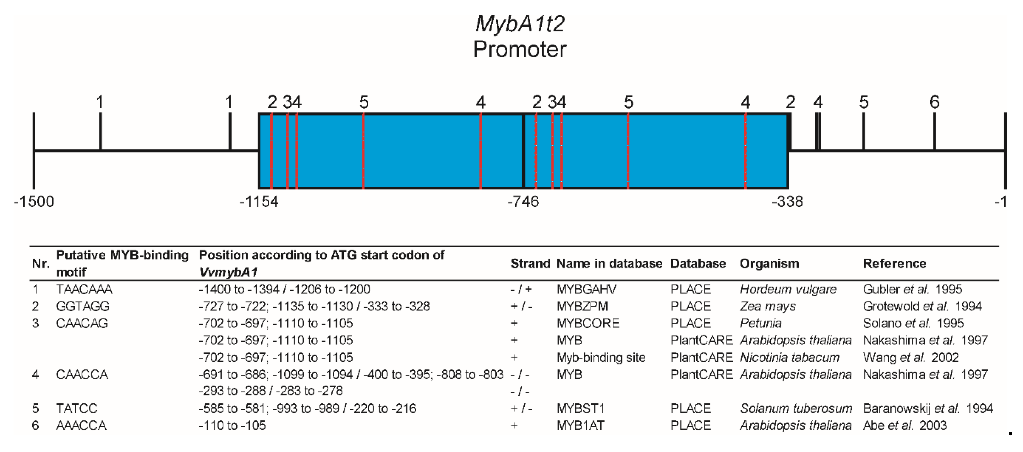 Genes 11 00891 g008